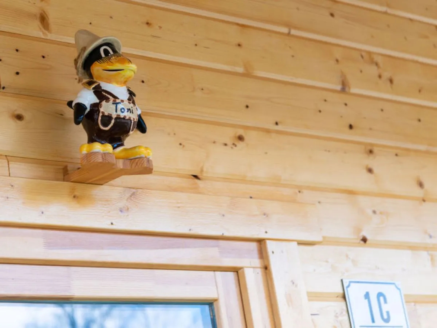 Chalet TONI