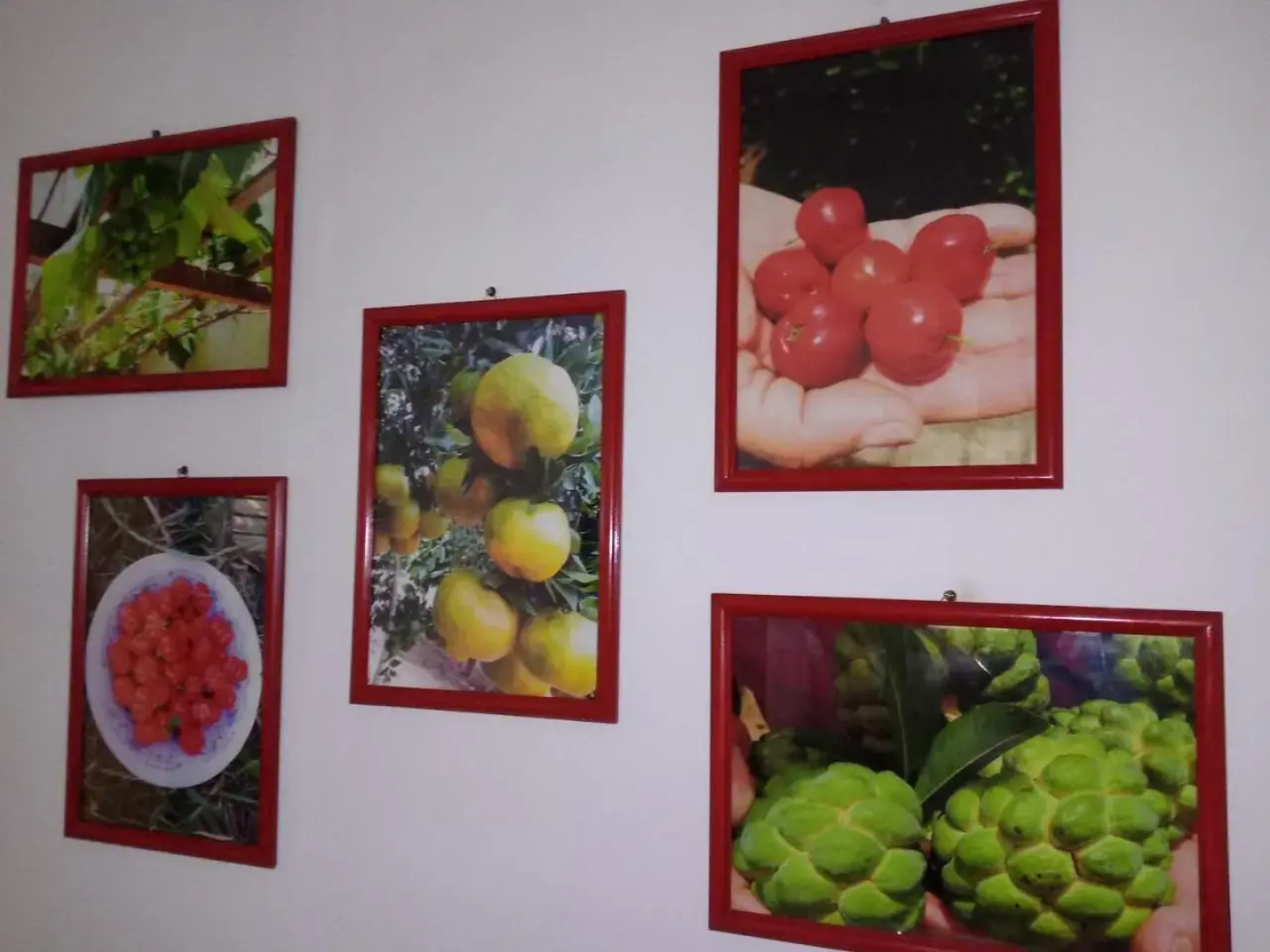 Apart Hotel Paraíso