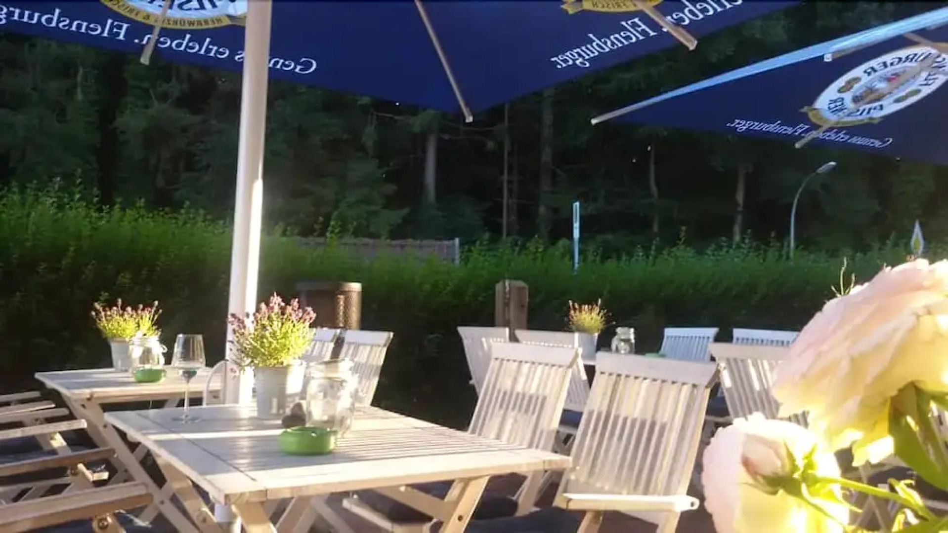 Basalt Hotel Restaurant Lounge