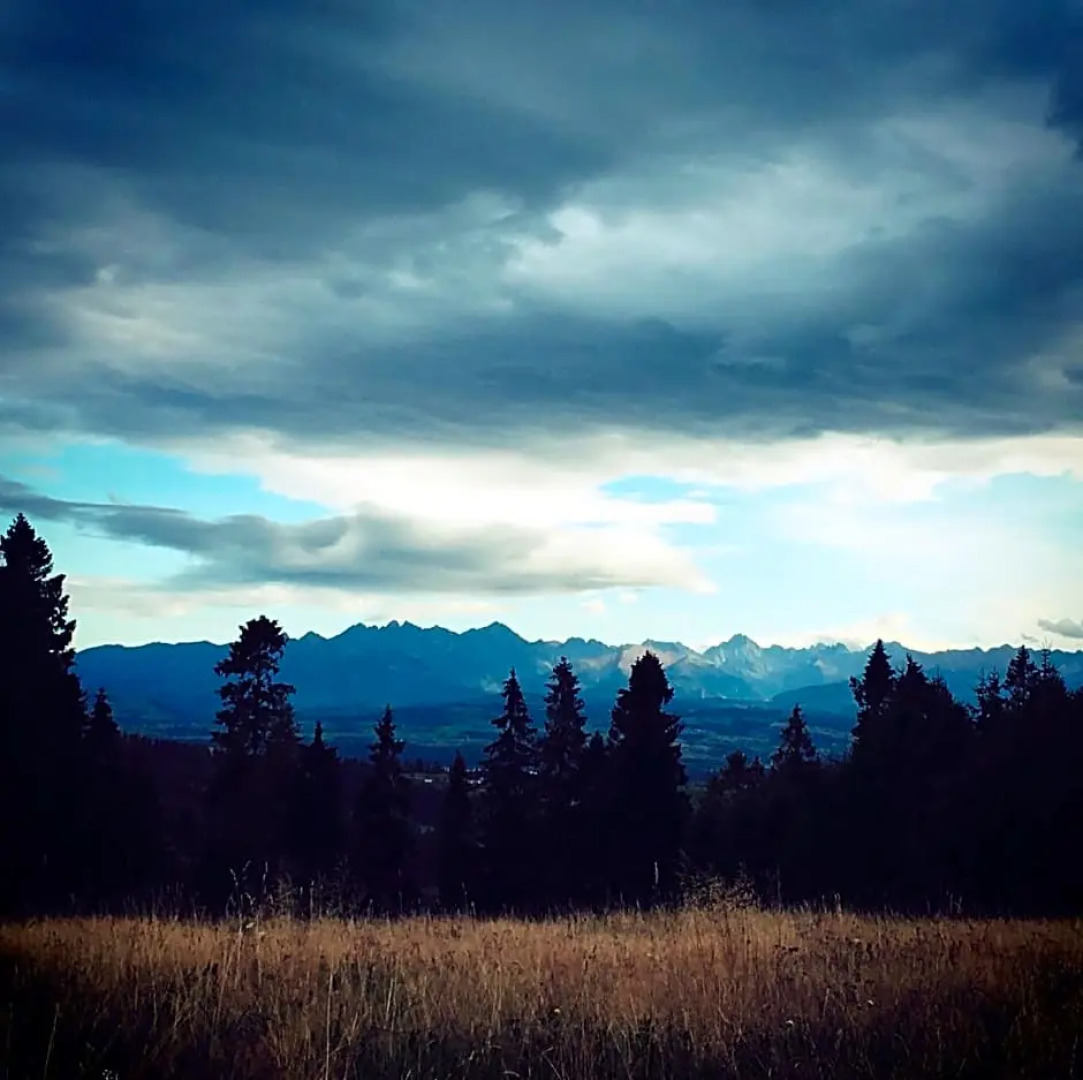 Hotel Restauracja U Guta