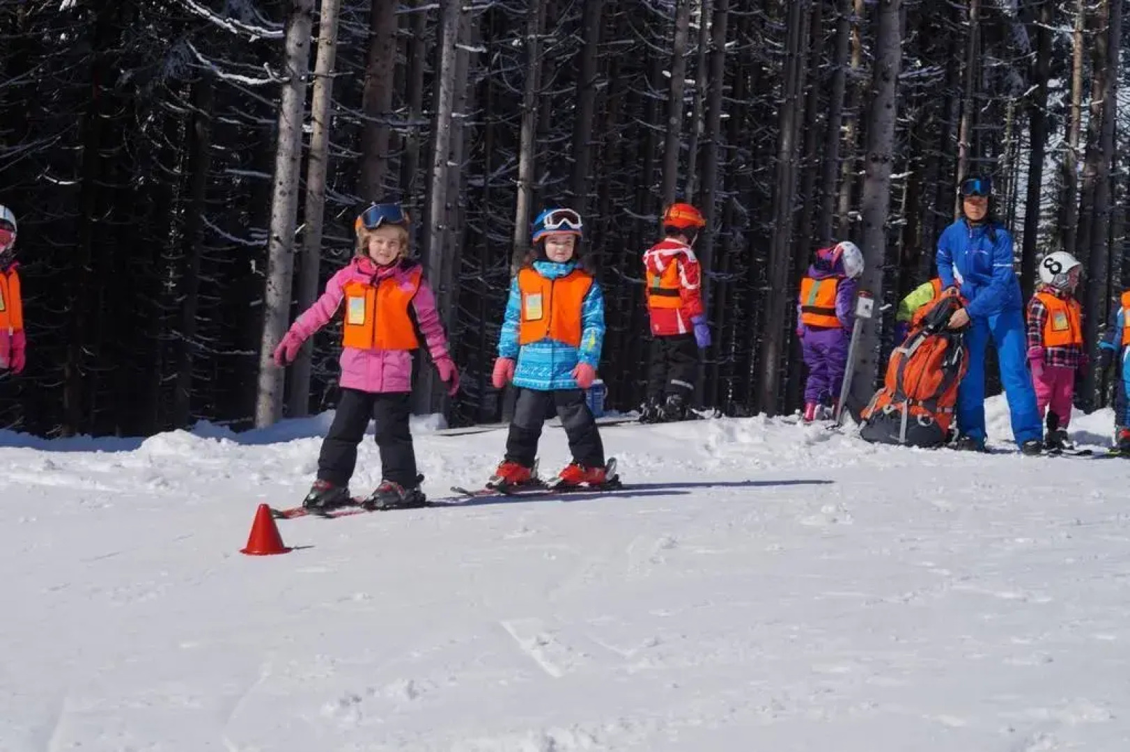 Hotel Wenger Alpenhof
