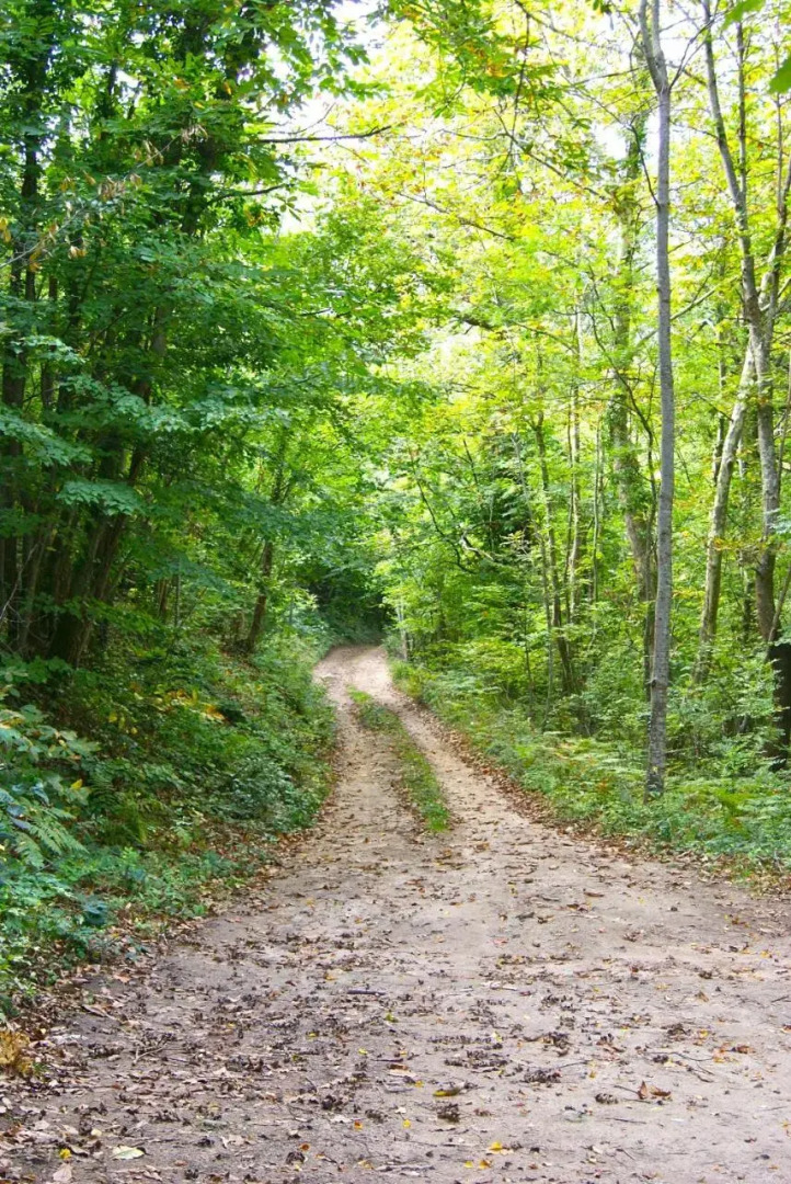 Restaurante y Alojamiento Can Mach