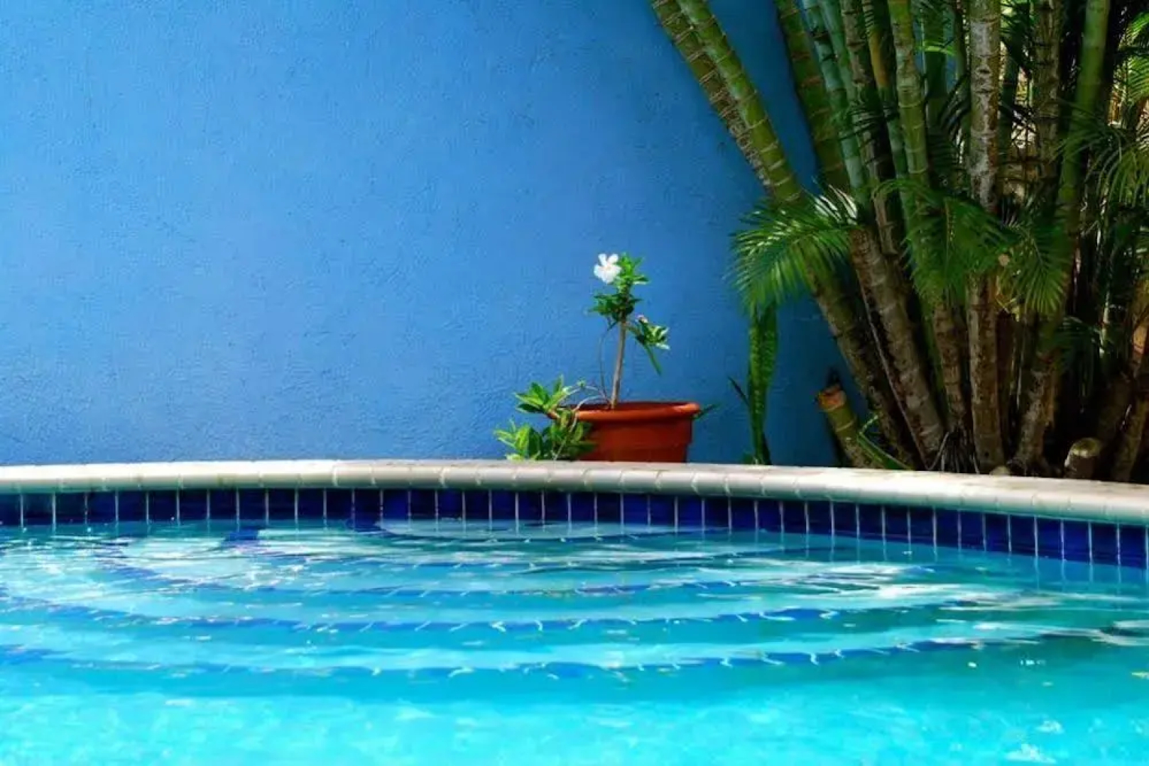 Caribbean Flower Apartments