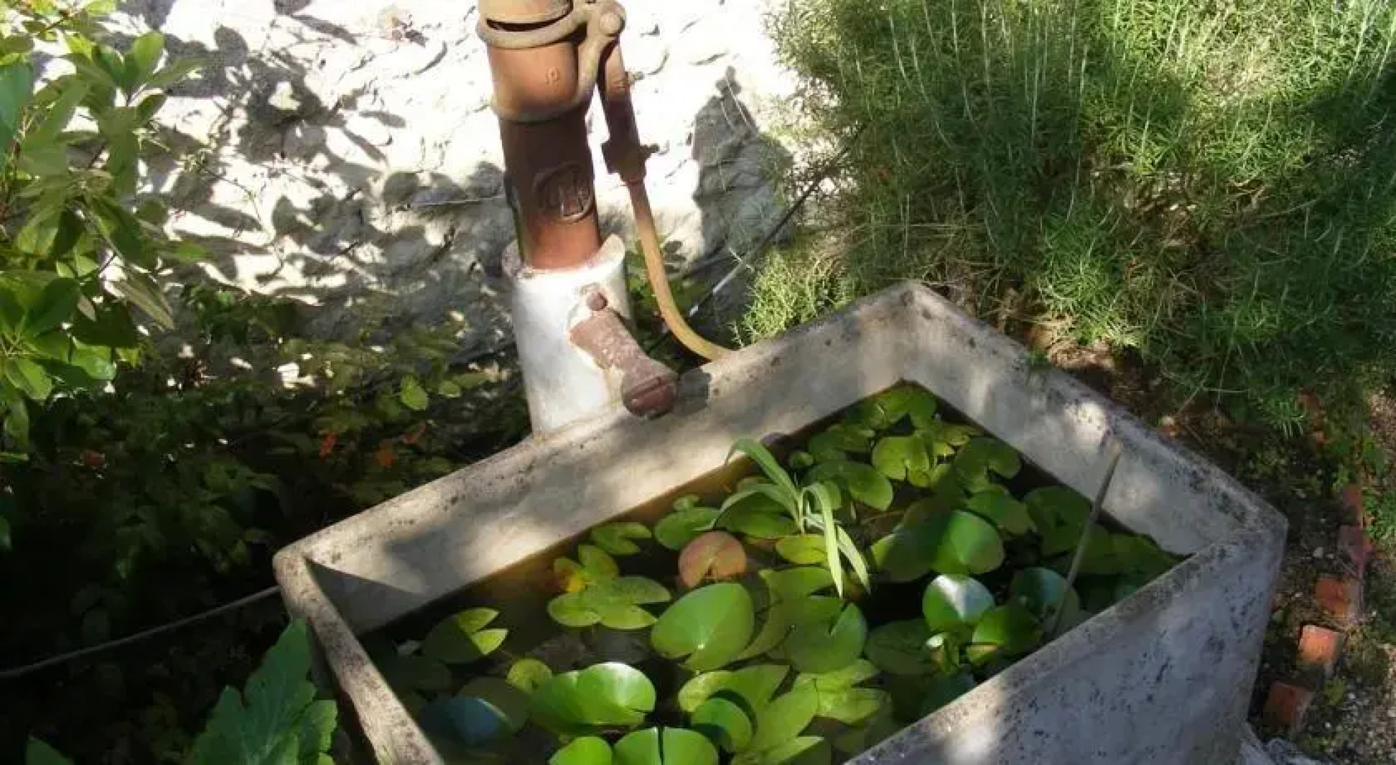 Maison Lavande Chambres dHôtes