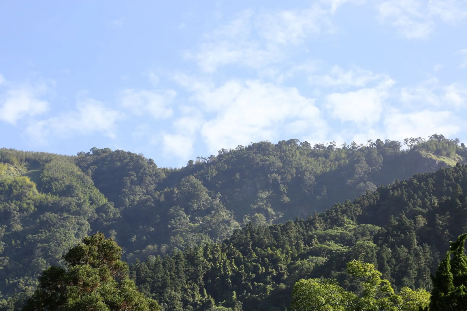 The Chitou Lemidi Hotel