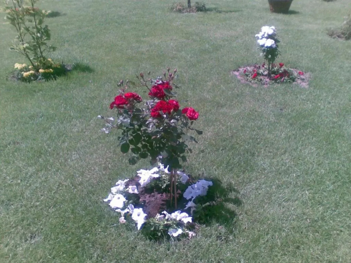 Pension Perla Bucovinei