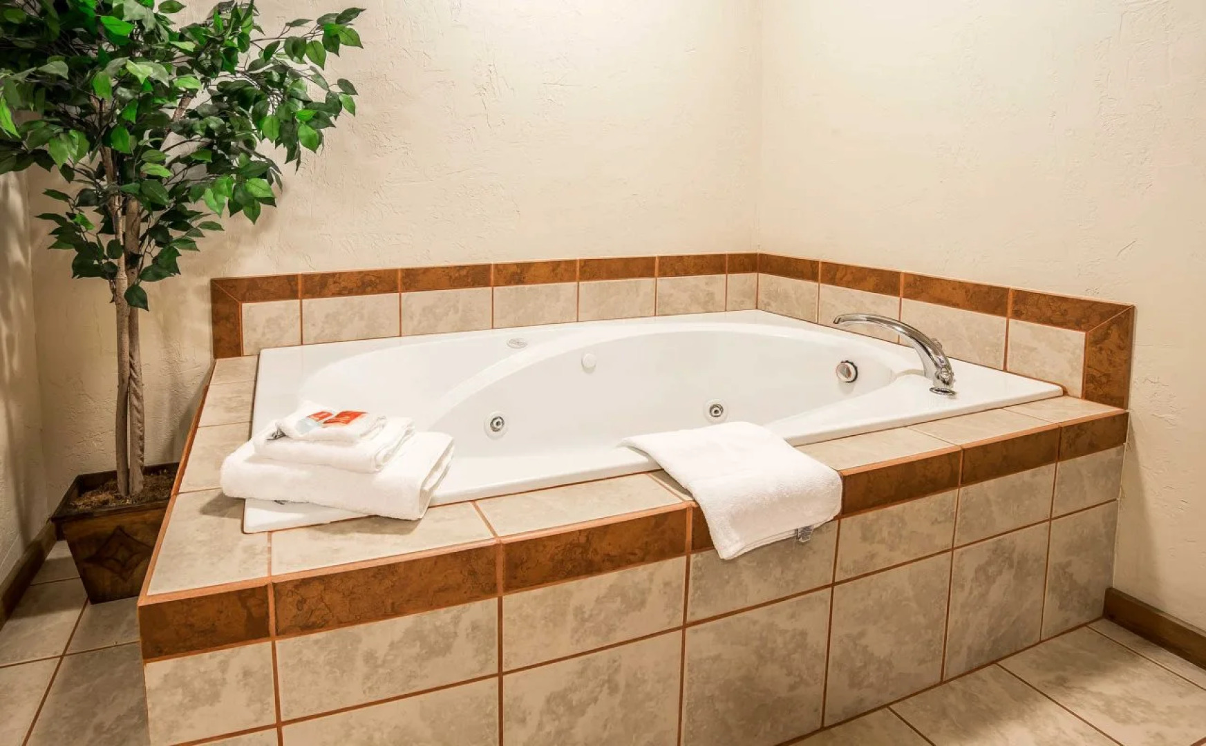 Econo Lodge Inn & Suites Kalispell - Glacier National Park Gateway