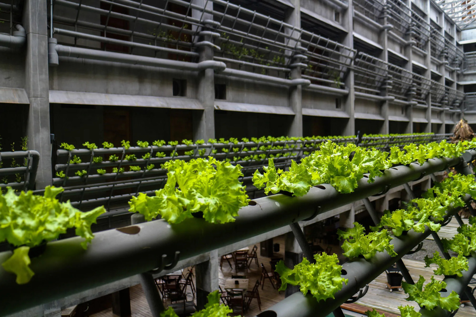 Greenhost Boutique Hotel