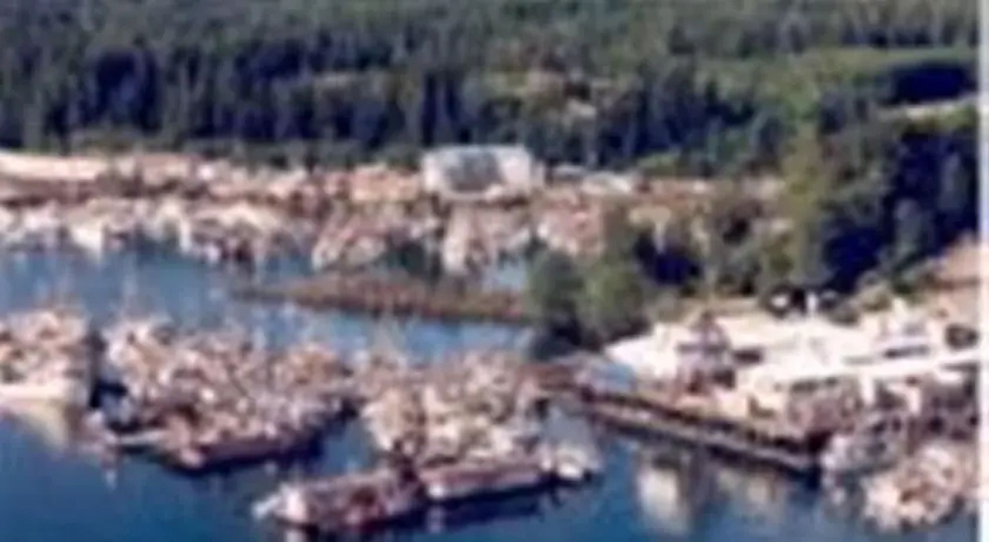 C&N Backpackers - Port Hardy