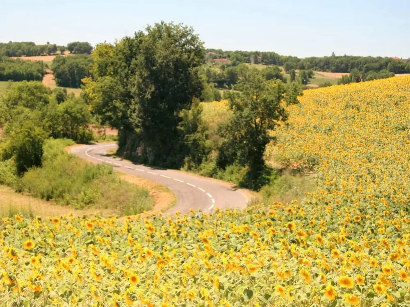 Superb Cottage with Swimming Pool in Fayssac France