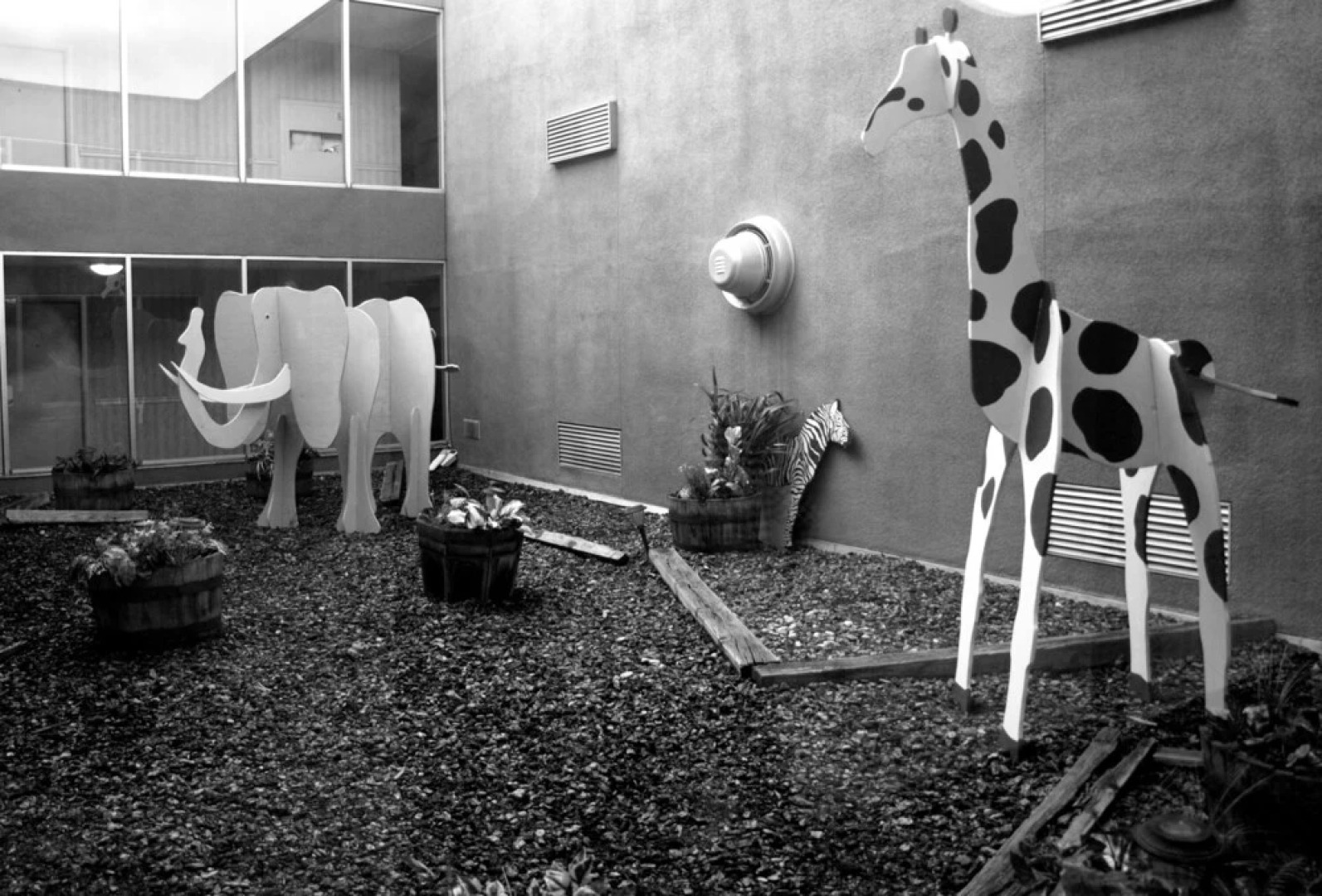 Safari Inn Downtown Boise