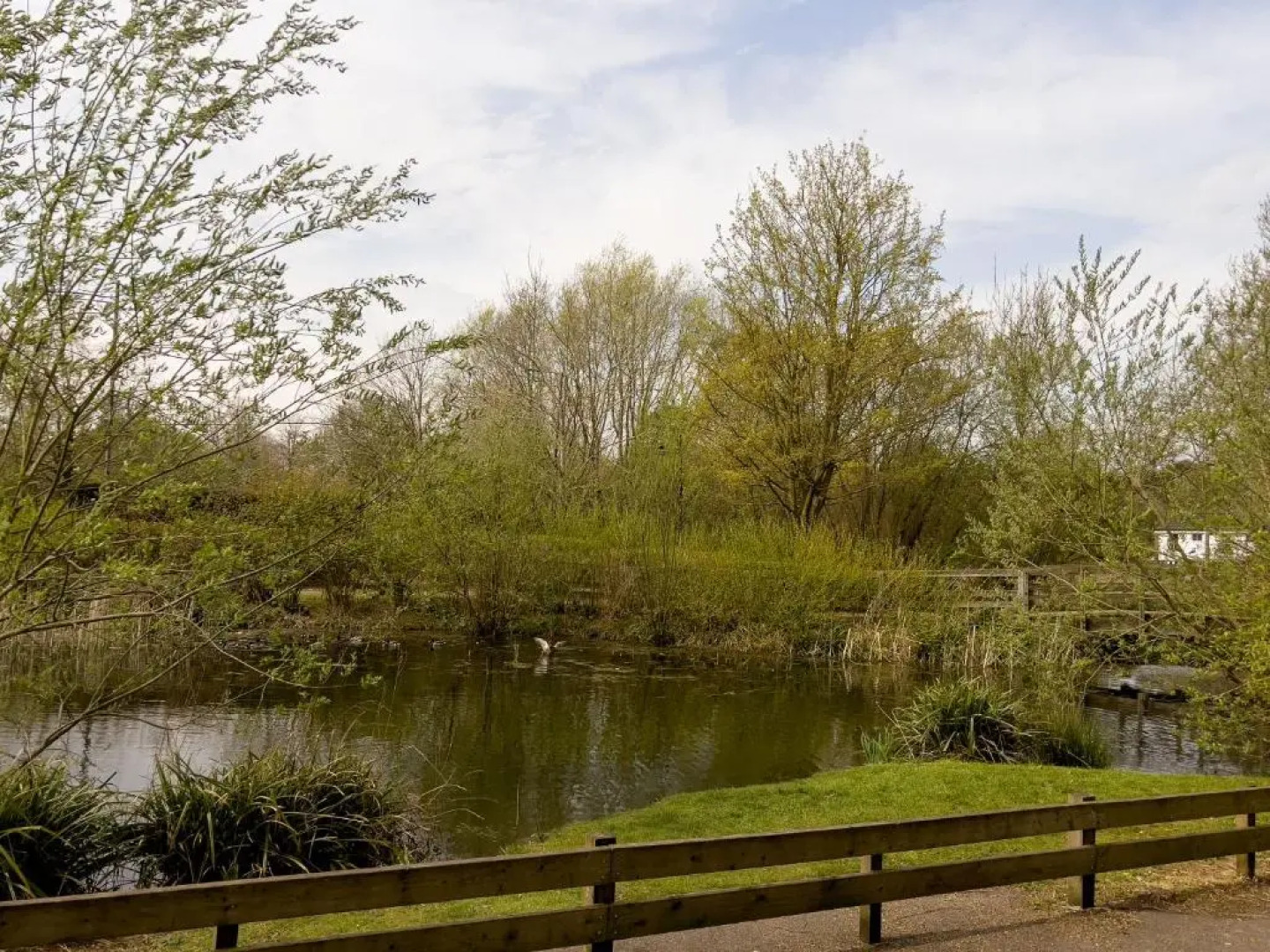 Miller Cottage a luxury 1550's cottage in the Historic centre of Saffron Walden