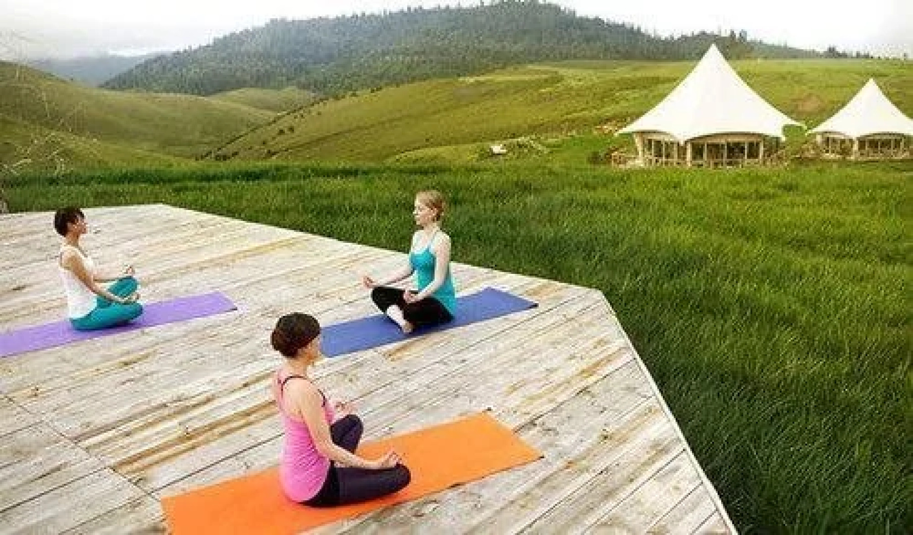 Vinetree · Geladan Tented Resort