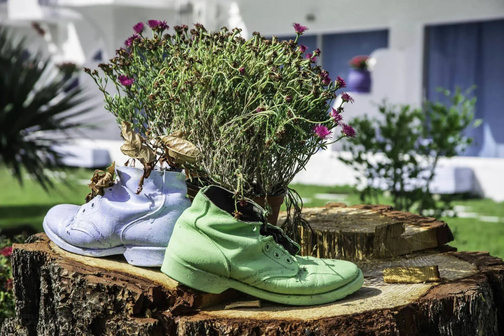 Отель Trees Art Boutique