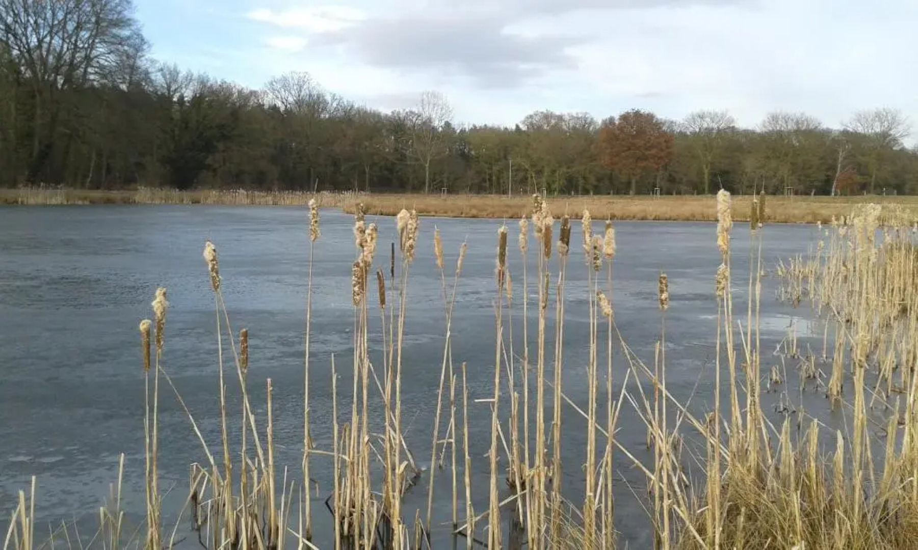 Ferienwohnung Zinne-Wigger
