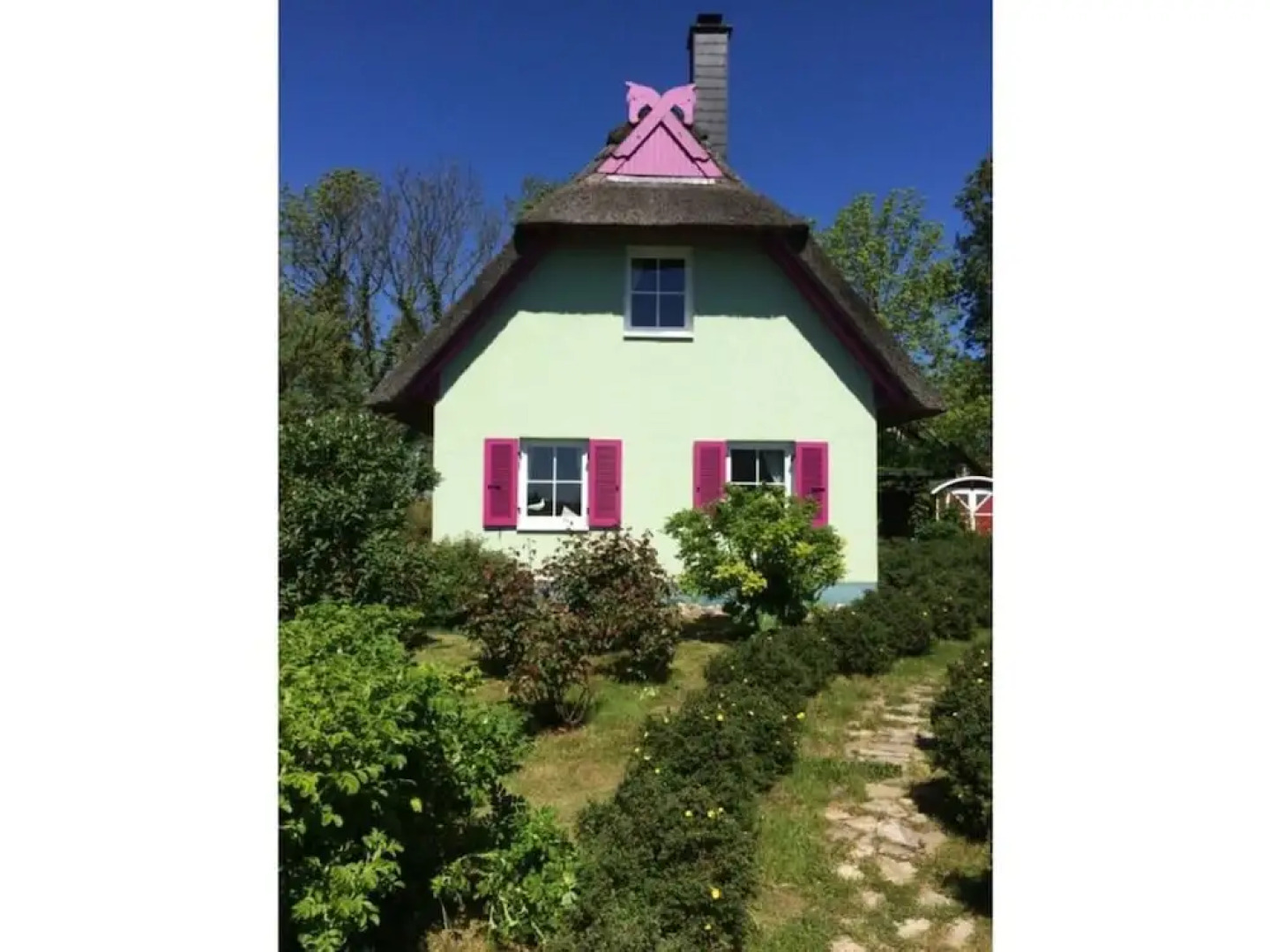 Red-throated Diver Modern Retreat