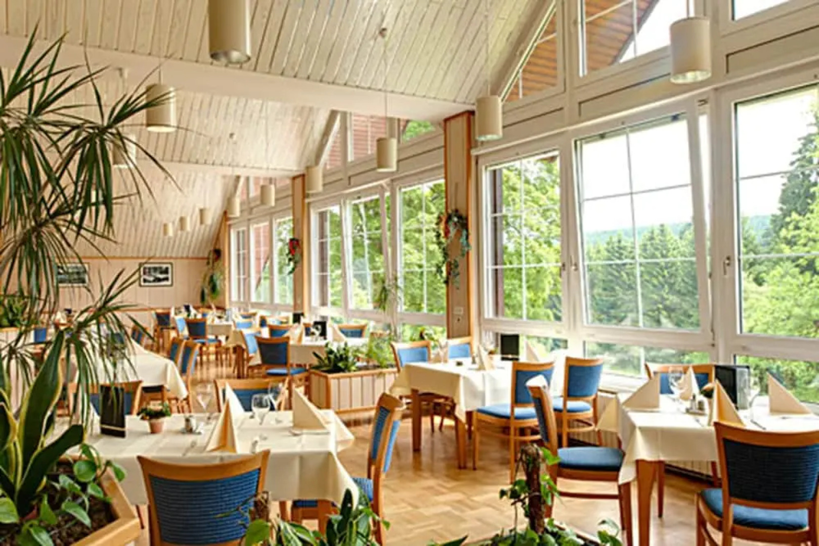 BSW - Erlebnishotel Festenburg