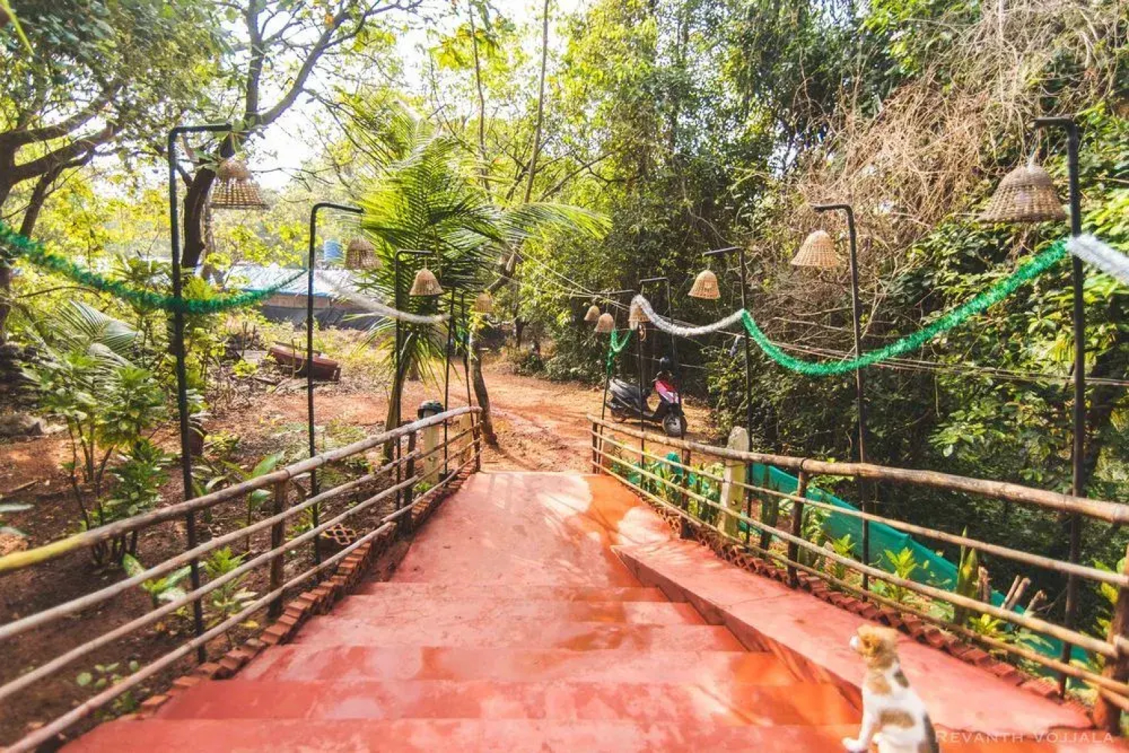 Roadhouse Hostel Arambol Goa