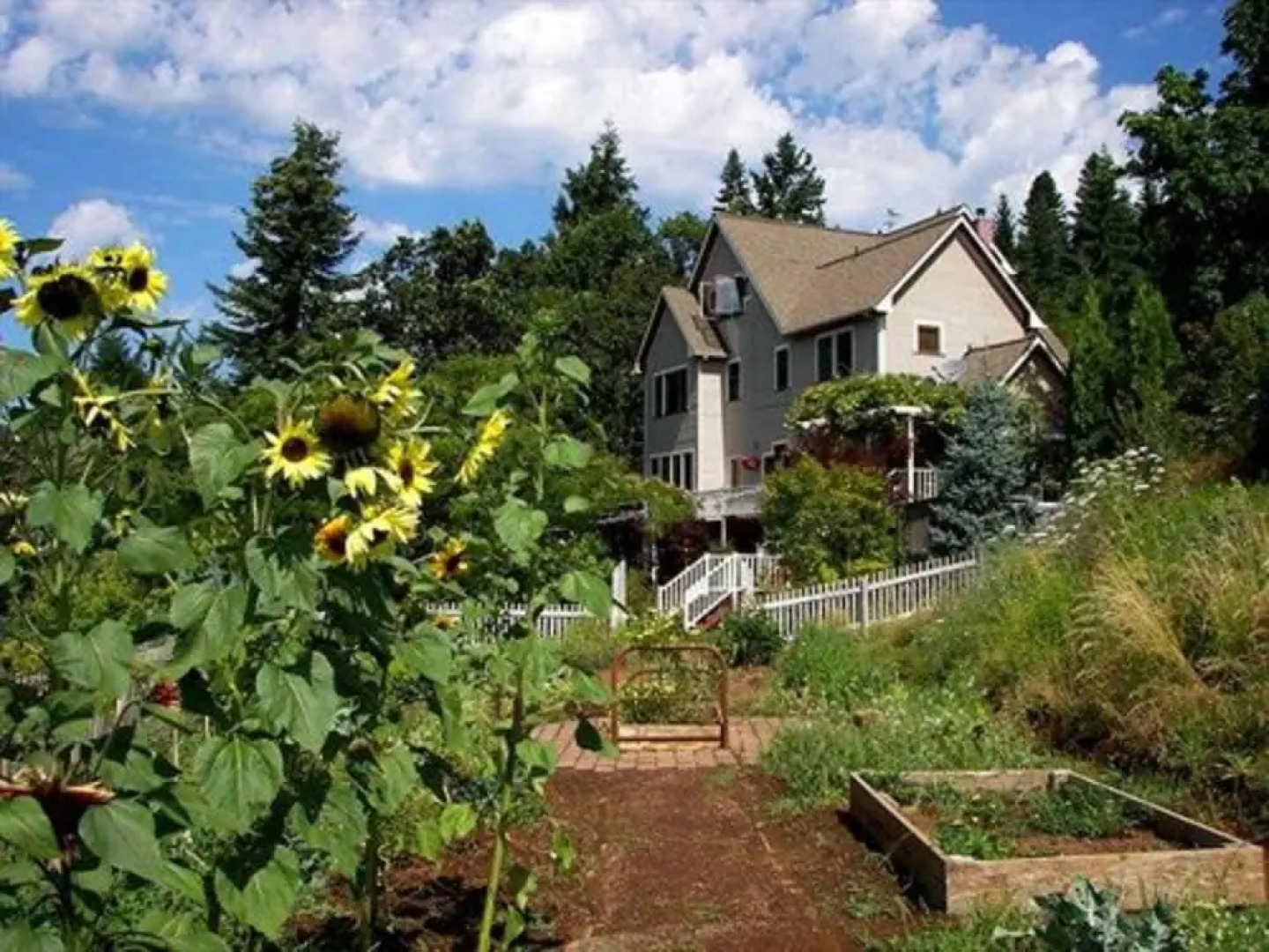 Husum Highlands Bed and Breakfast