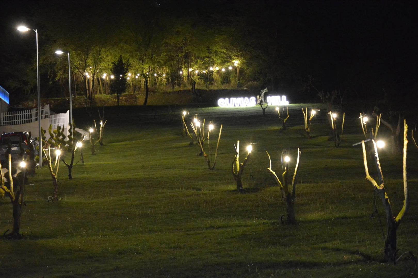 Olivia's Hill Resort