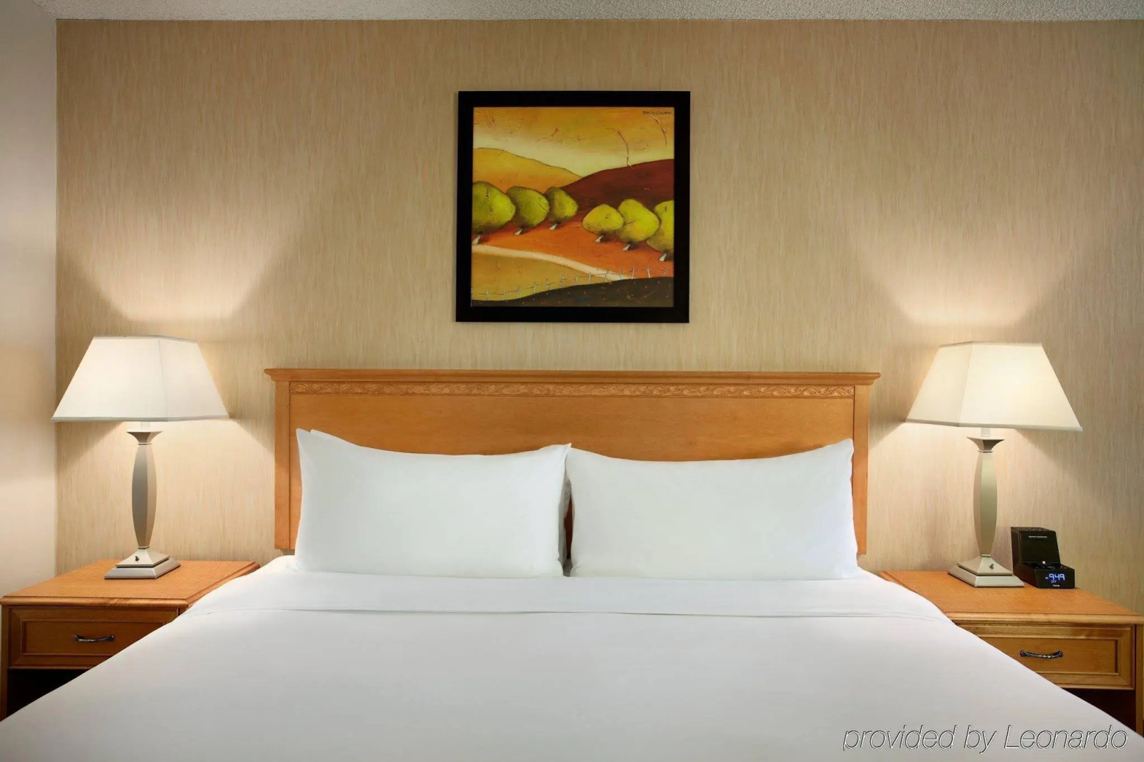 Radisson Hotel Denver - Aurora