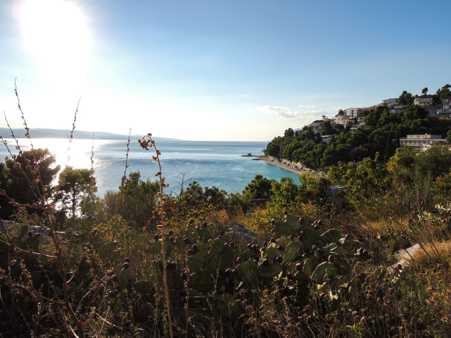 Studio apartment Smilja - 150 m from pebble beach: SA3 Baska Voda, Riviera Makarska