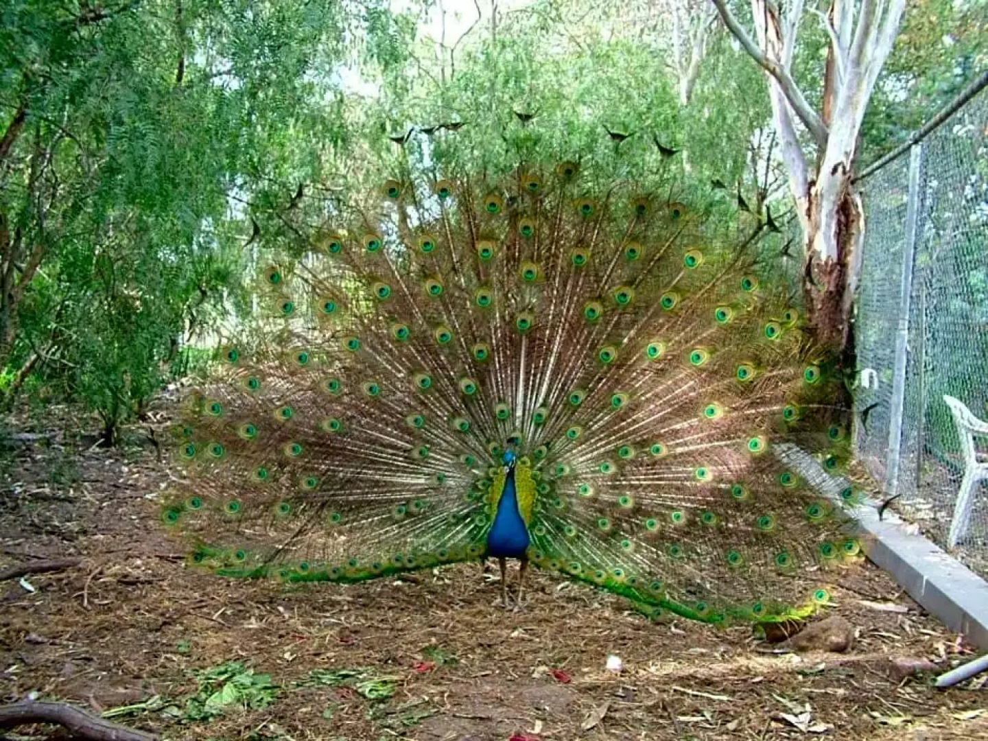 The Old Butter Factory at Springhurst Estate
