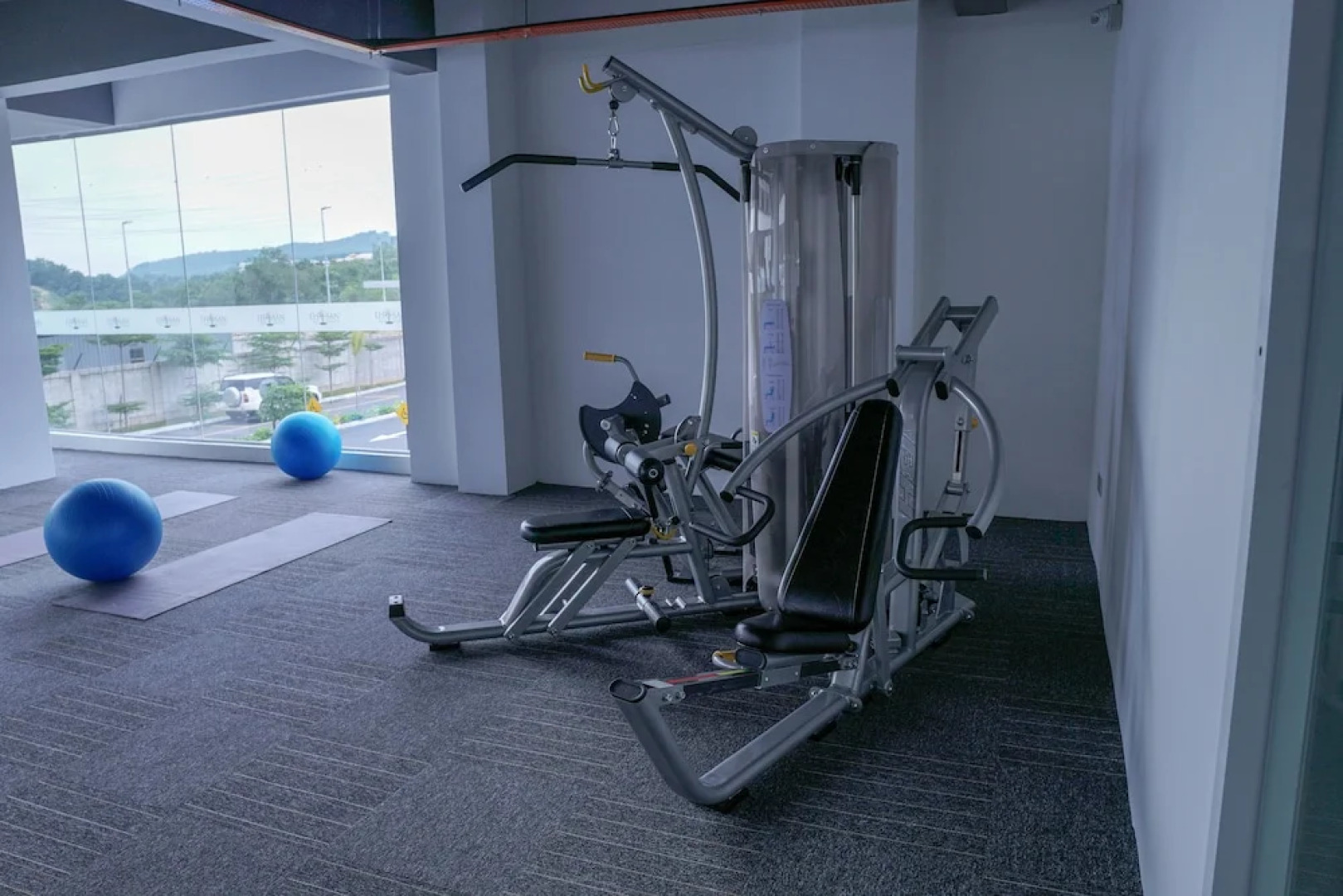 The Khailily's Guest