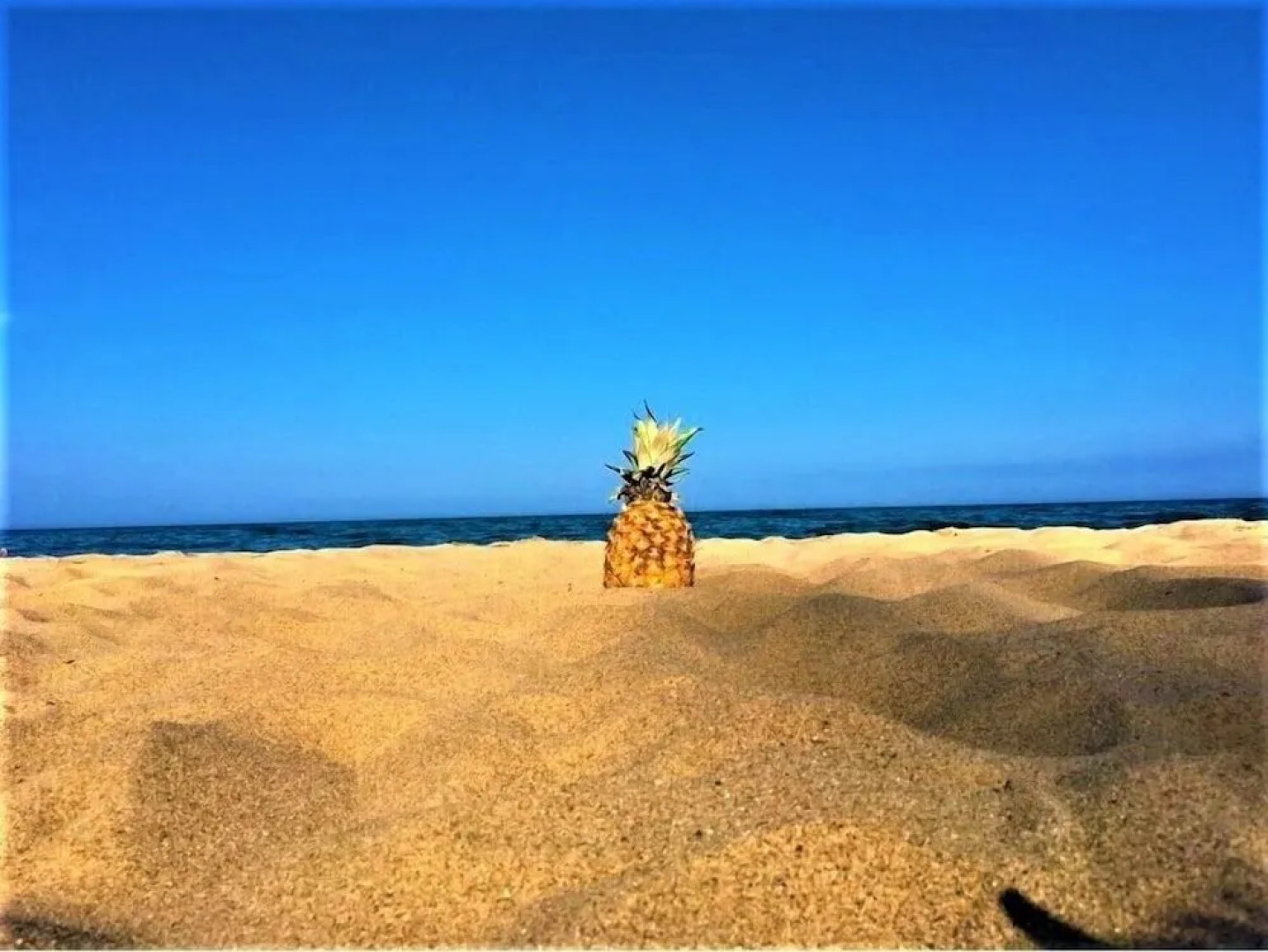 Gold Coast Family Cottages