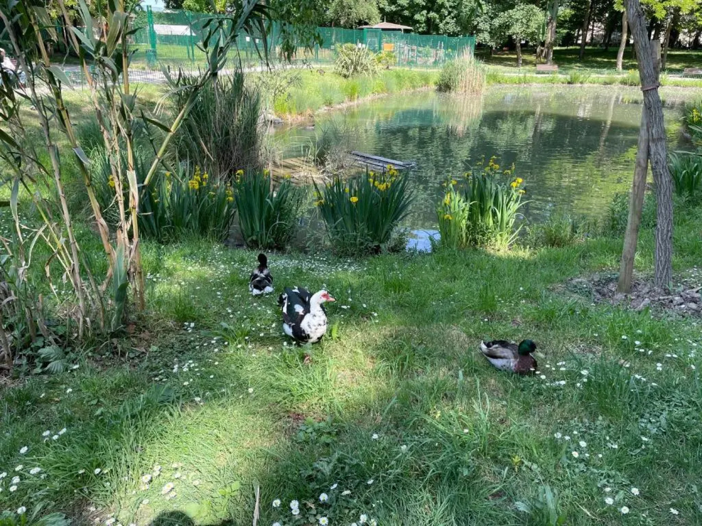 Sandy plaza supérieur