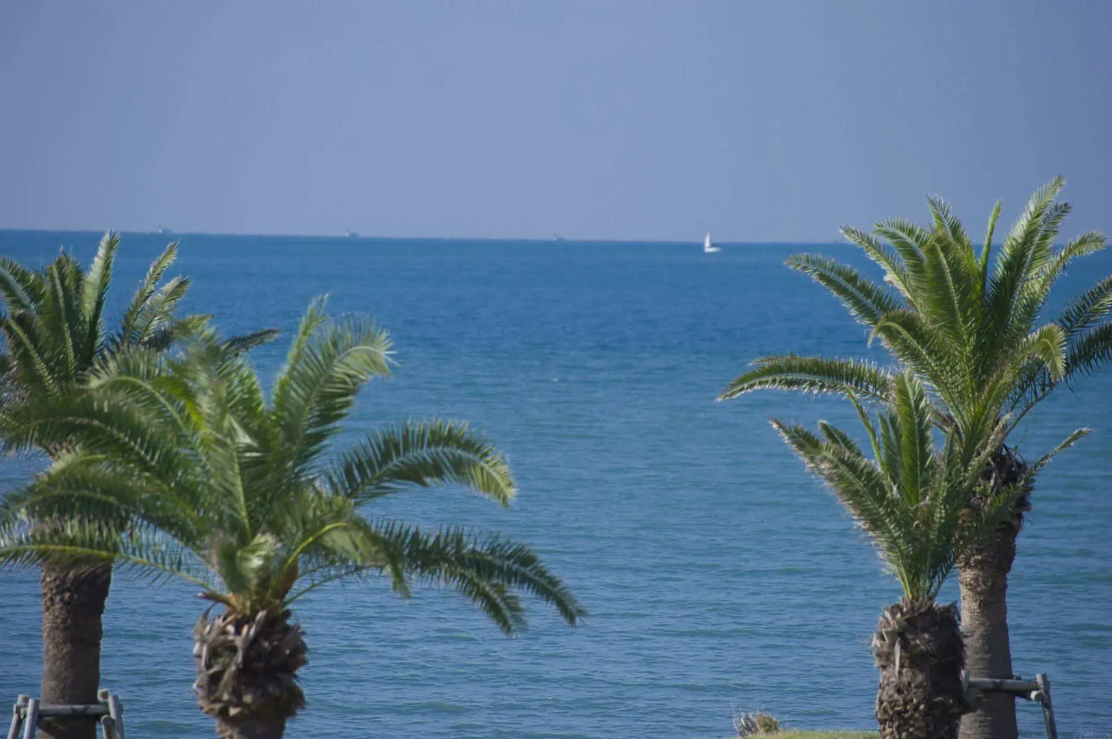 Tateyama Seaside Hotel