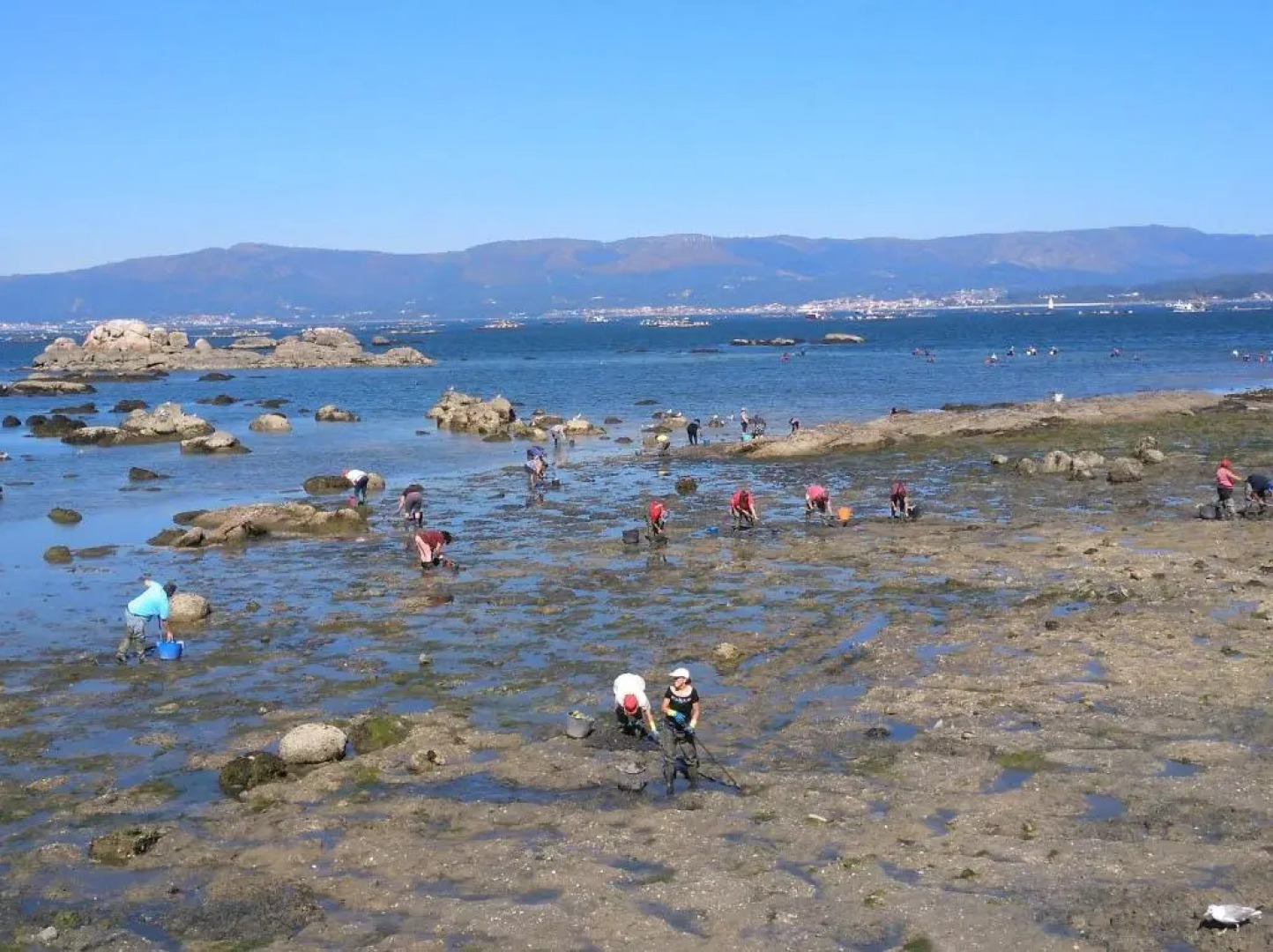 Apartamentos Poniente