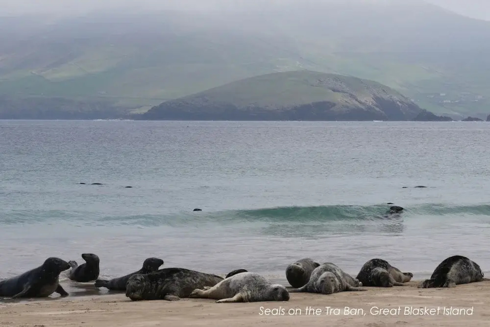 Great Blasket Island Accommodation