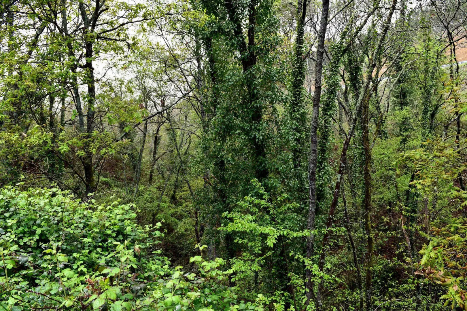 Aparthotel Quinta do Crestelo