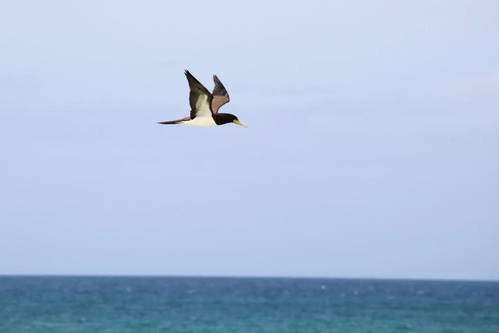 Apartment With one Bedroom in Sal Rei, With Wonderful sea View, Furnis