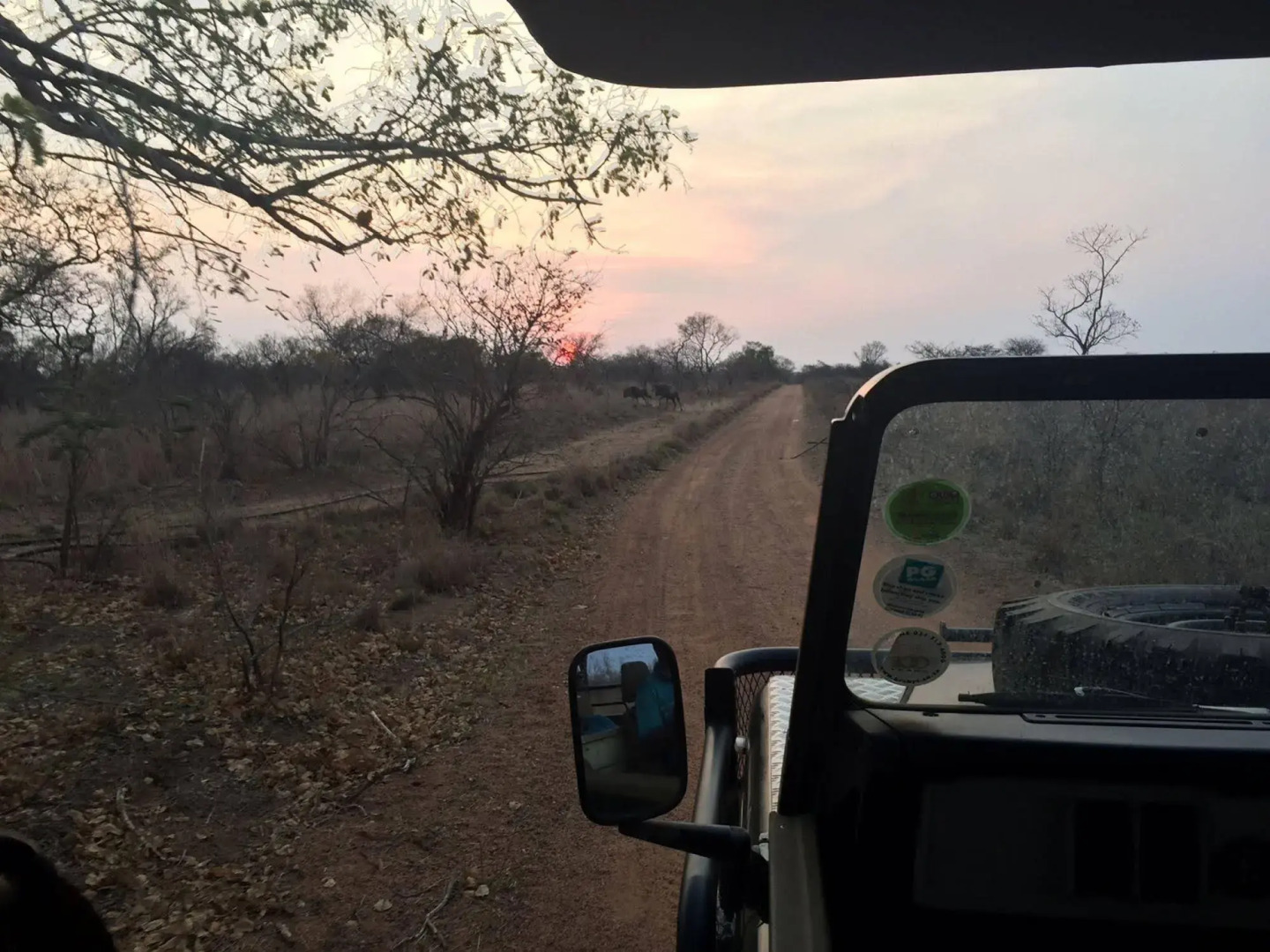 Dzata Private Game Lodge