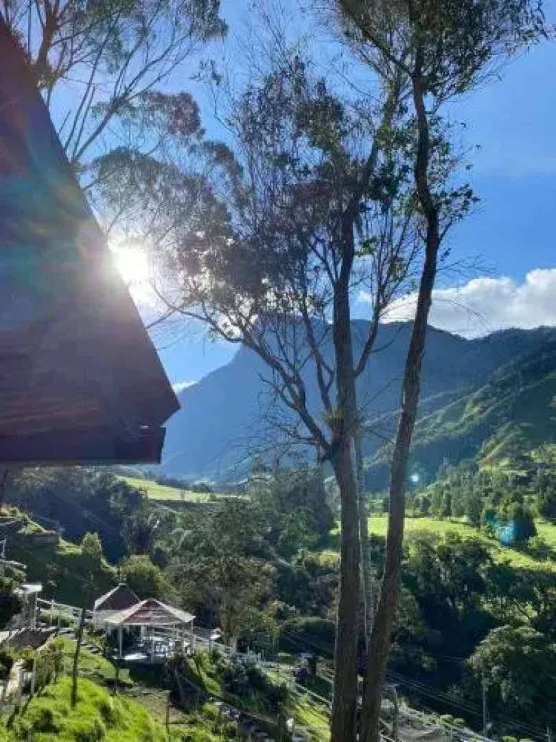 Cabañas Truchas Cocora