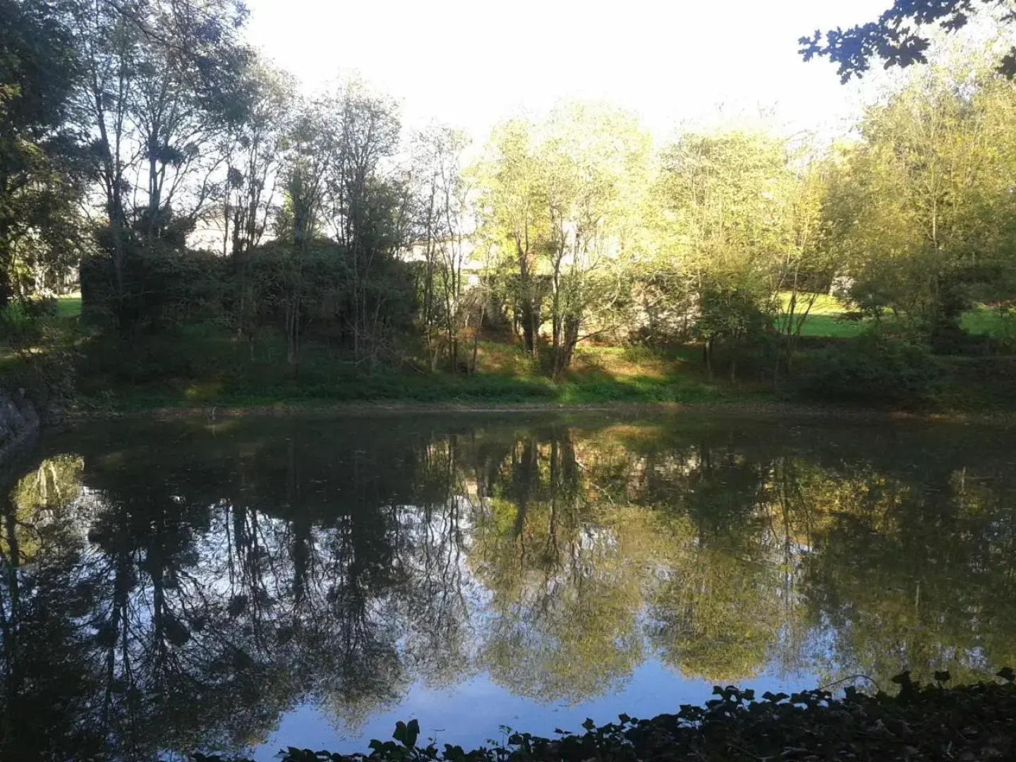 Chateau Pont Jarno B&B