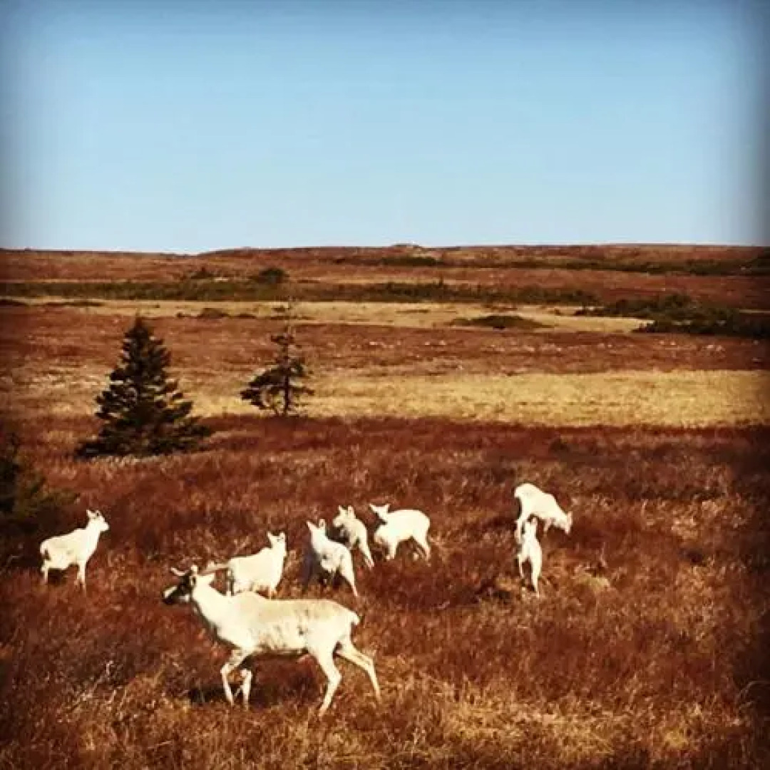 The Convent Guesthouse