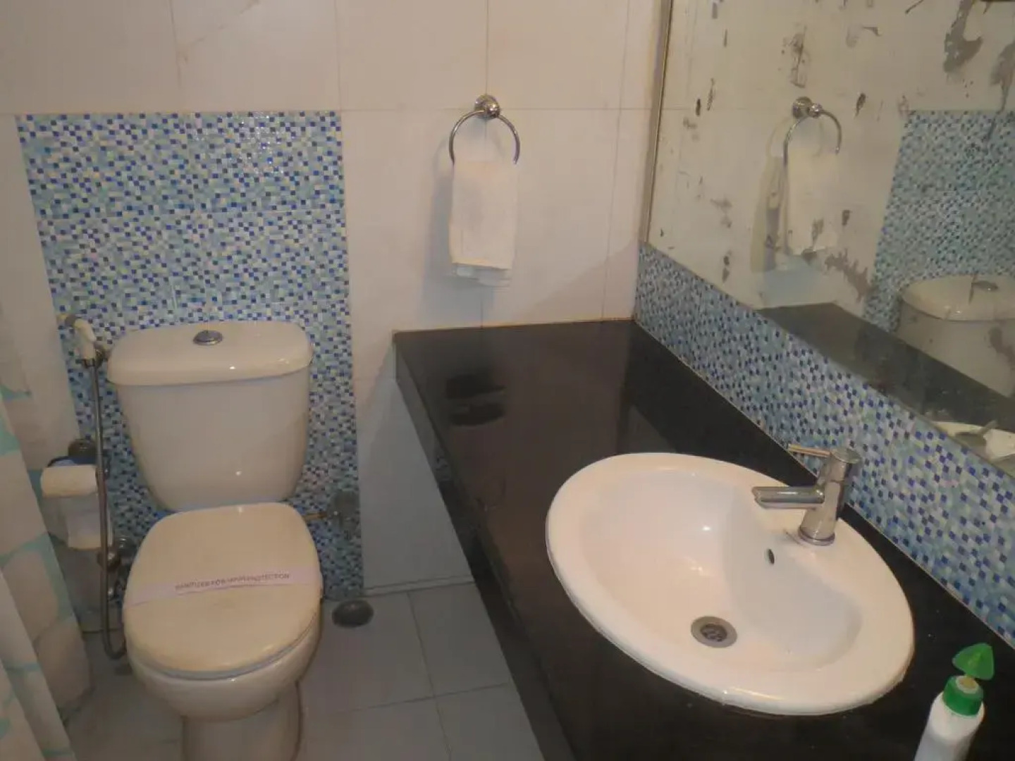 The Green Villa - Airport Hotel & Spa Resort