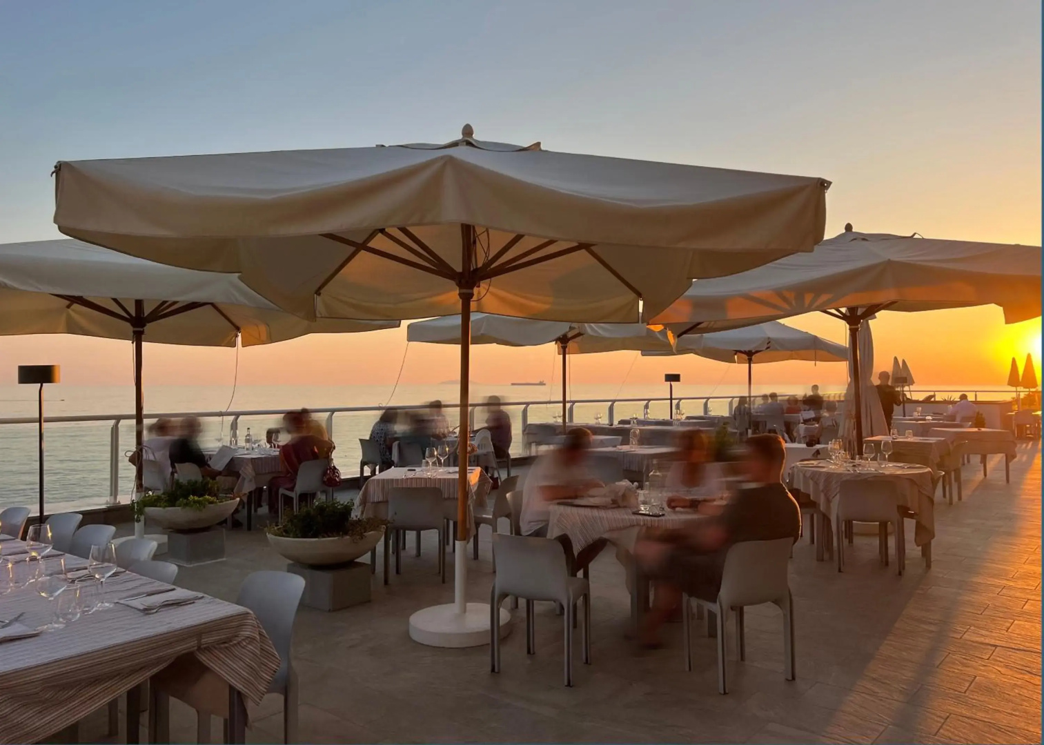 Hotel Rex