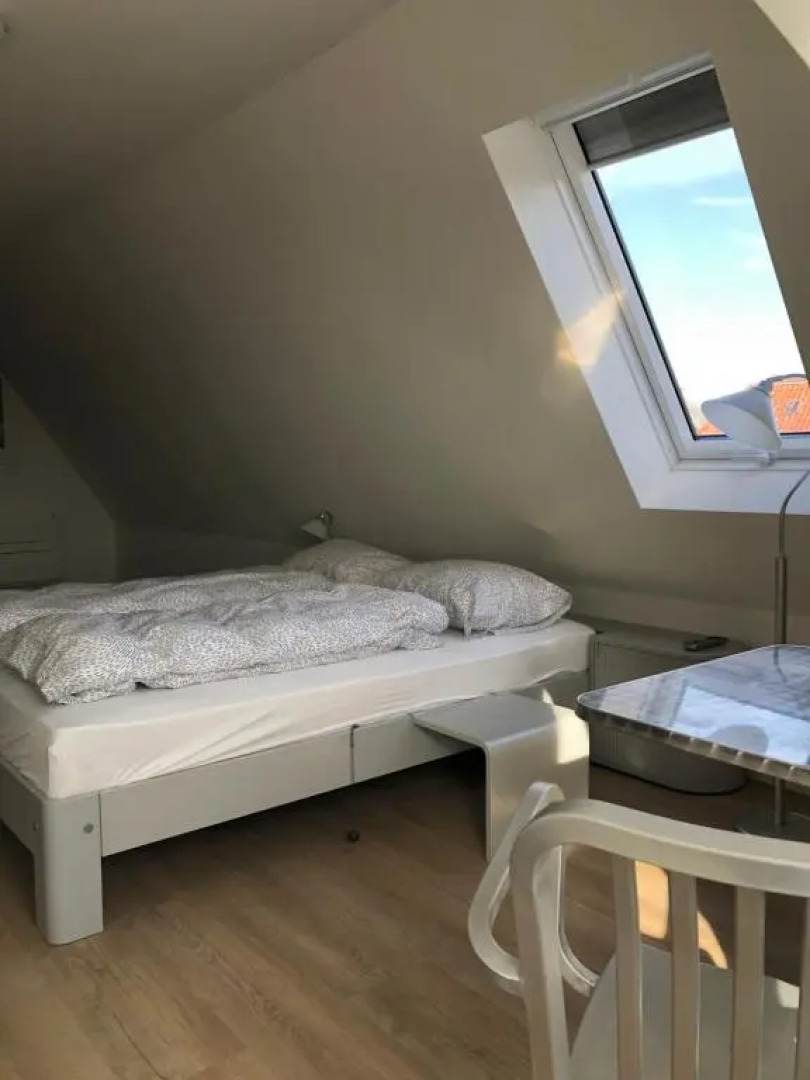 B&B De Gulden Halsband Pingjum