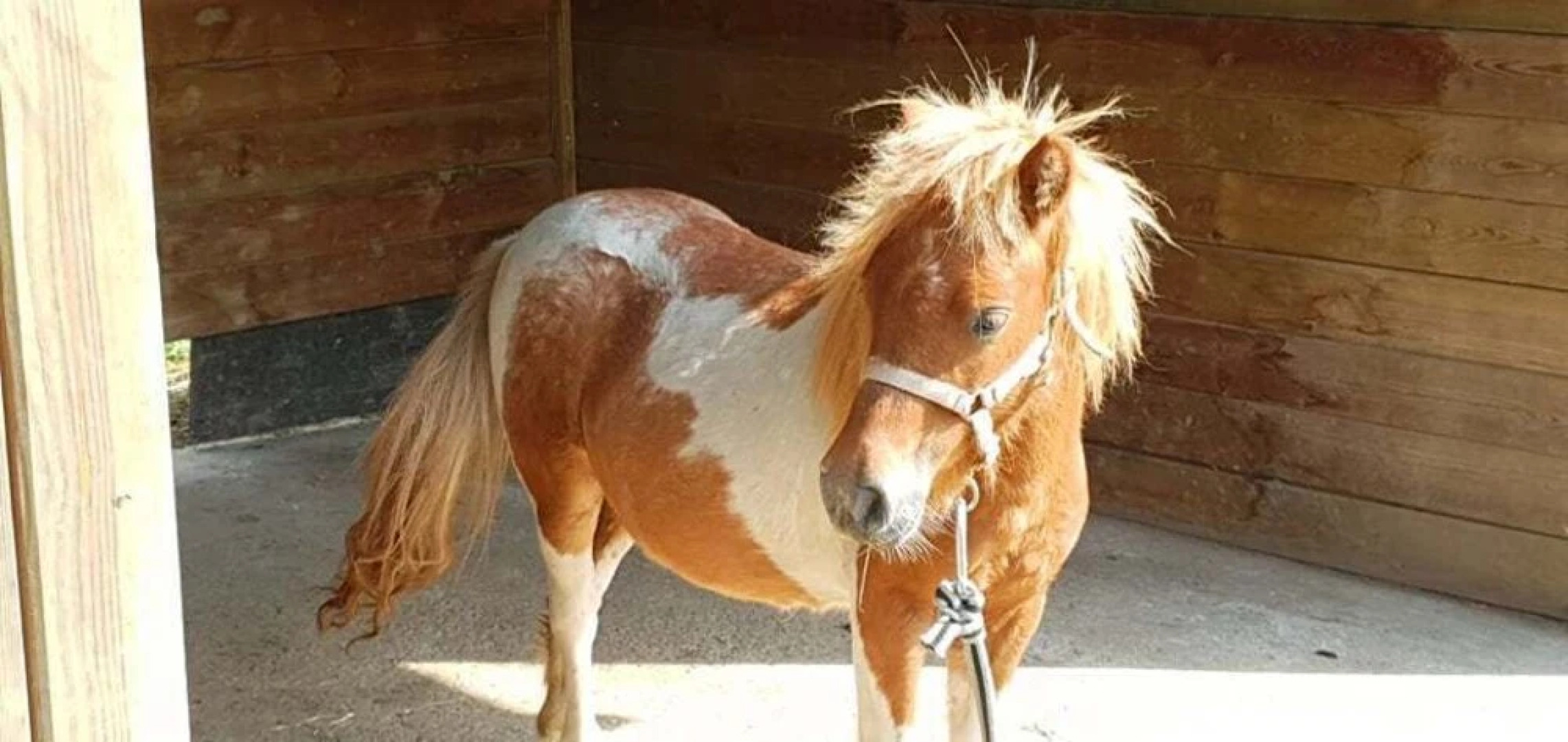 La Fermette des Ramolleux