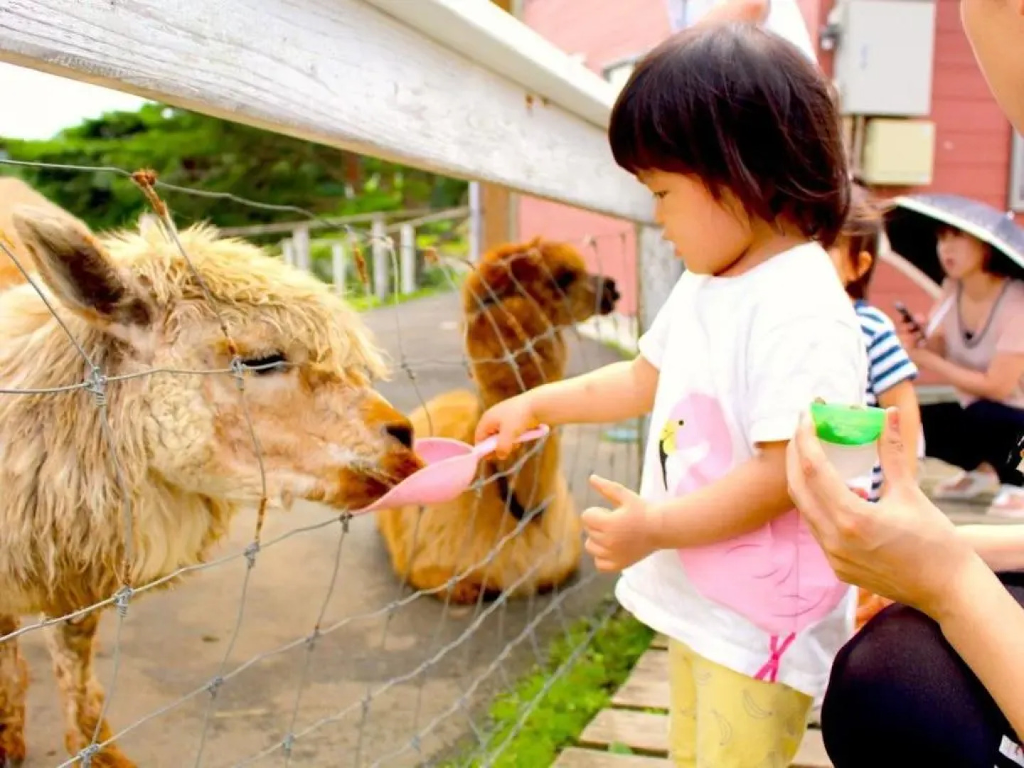 Nasushiobara Ichimantei