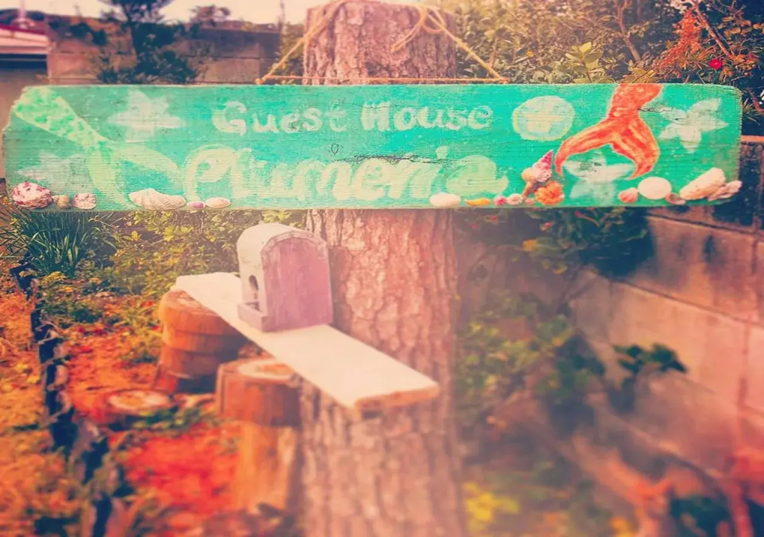 Seaside Guest House Plumeria