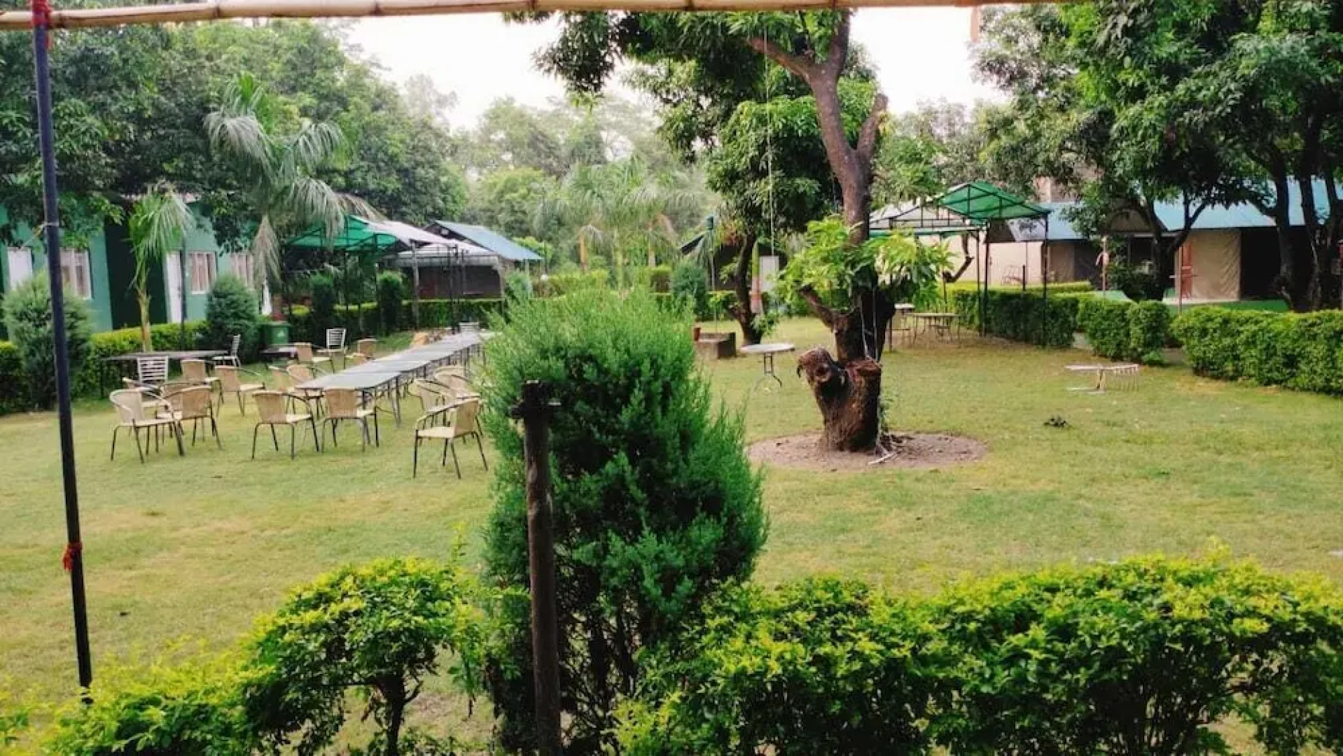 The Palms Resort