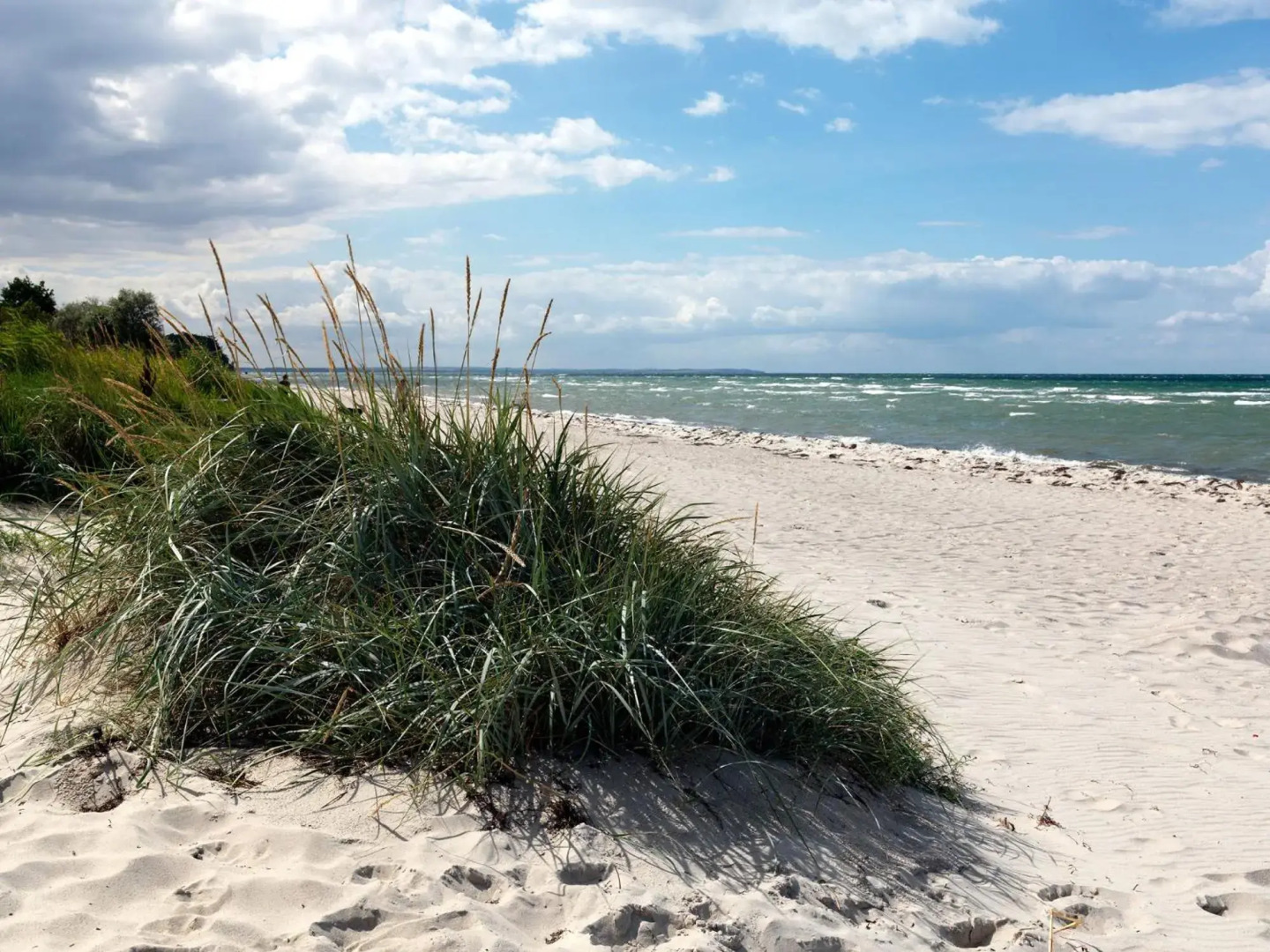 Ostsee Residenz Meeresblick Strandläufer