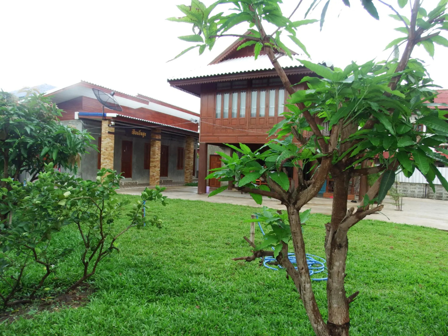 Pon-Pon & Nuan-La-Or