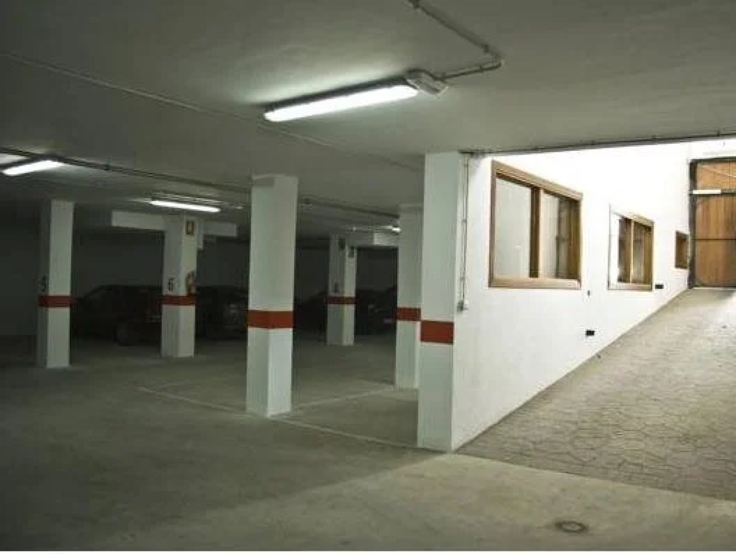 Estrella de las Nieves