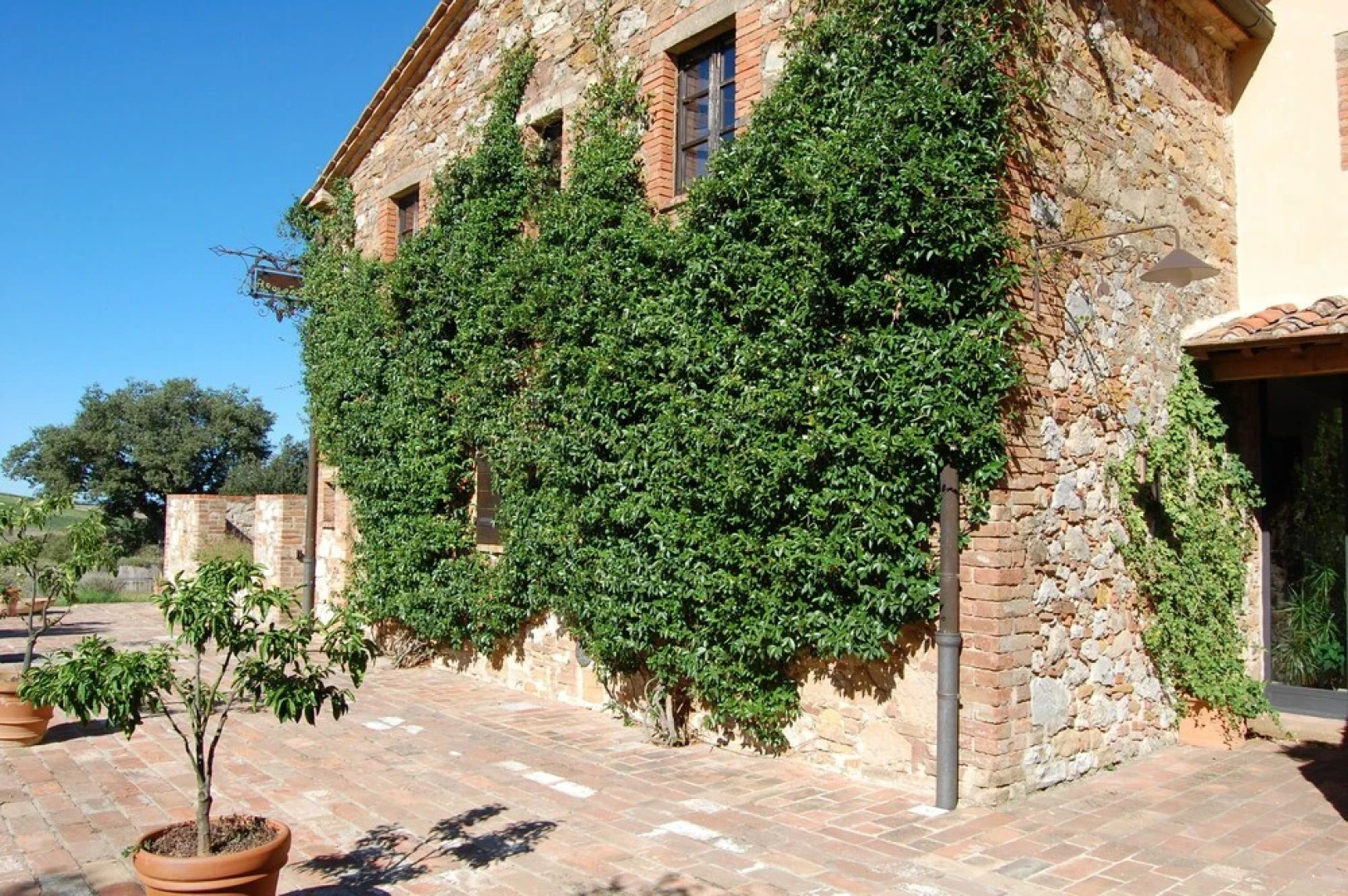 Le Crete Azienda Agraria Agriturismo